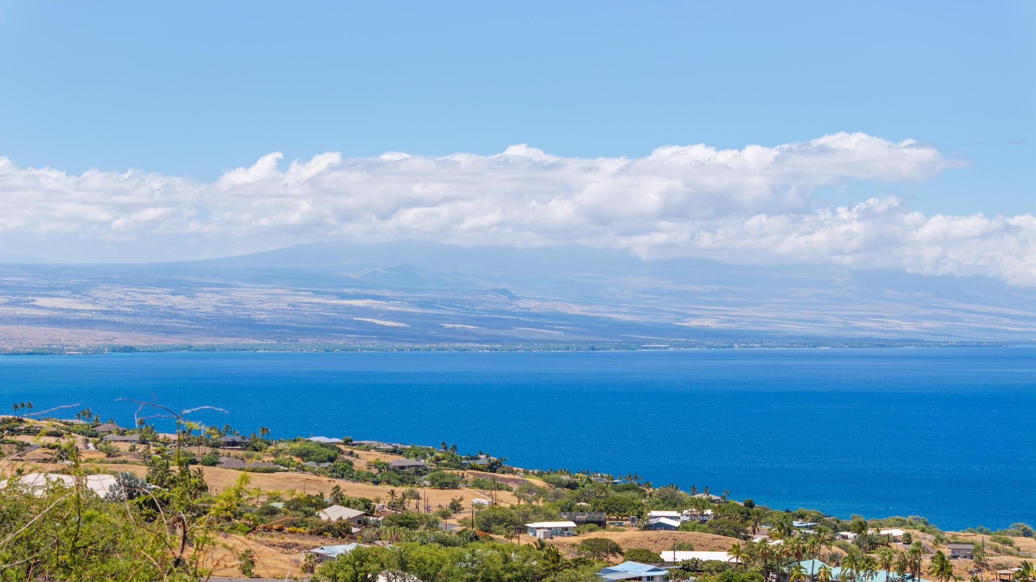 Kamuela