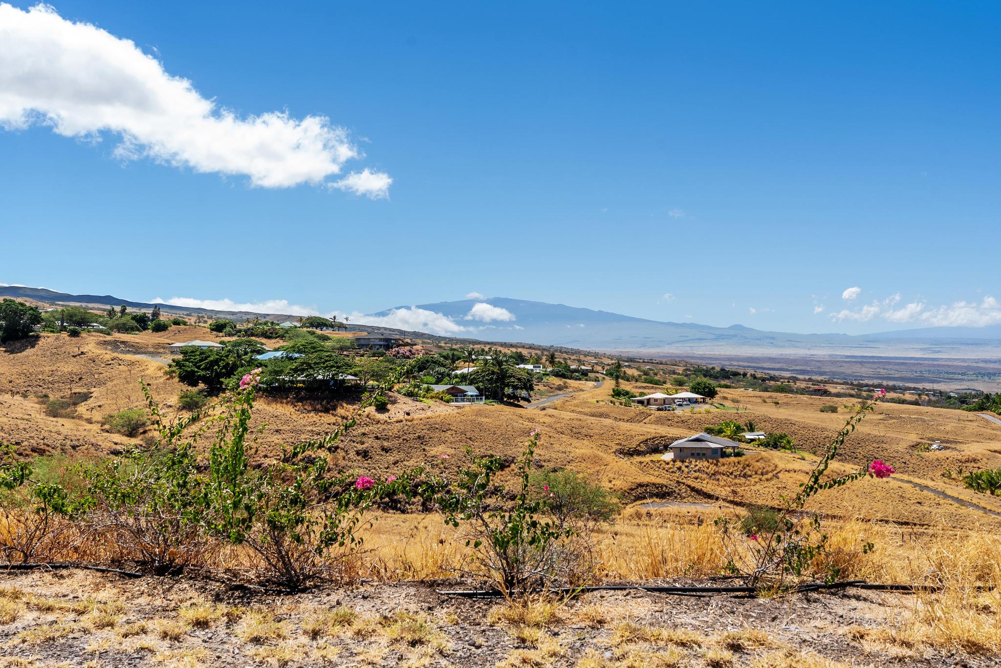 Kamuela