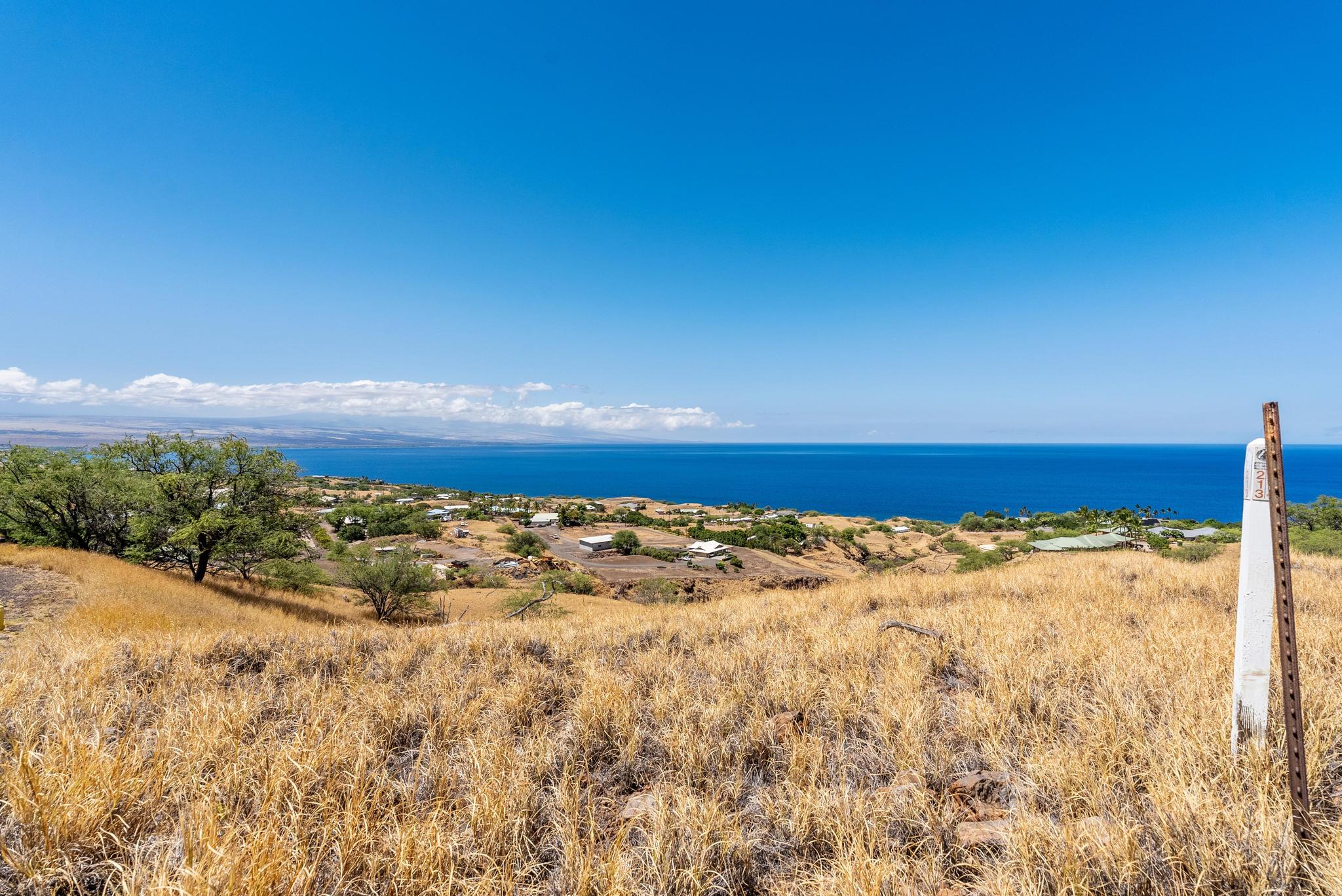 Kamuela