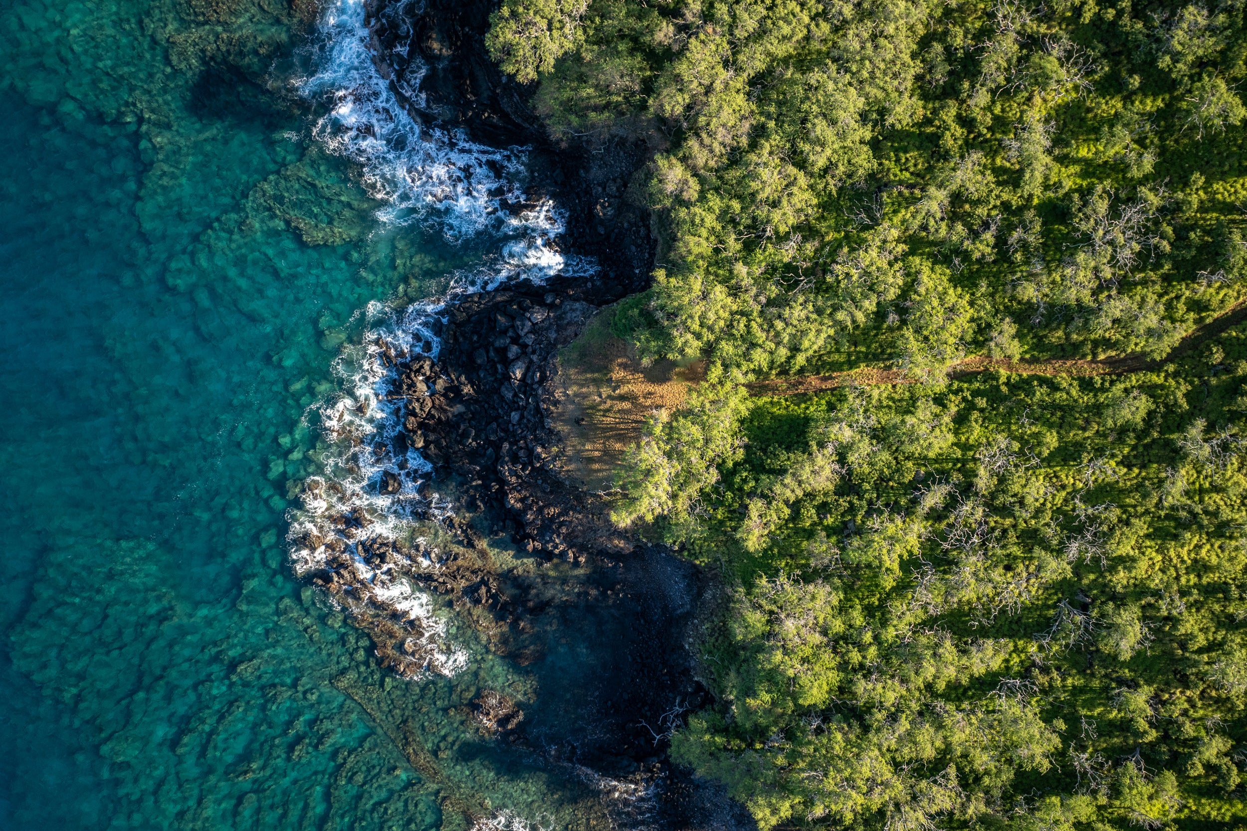 56-99 PUALANI RD
