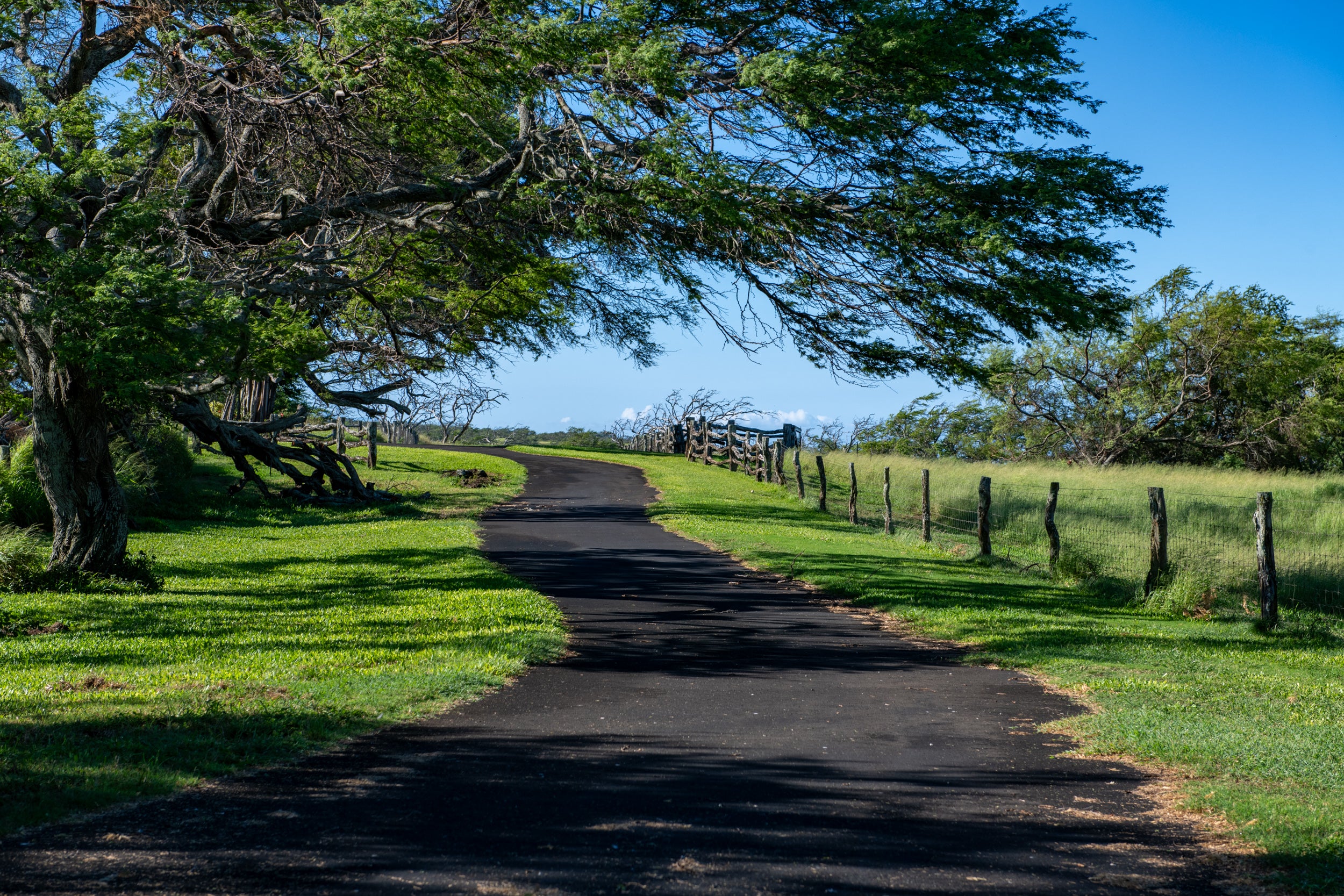 56-99 PUALANI RD