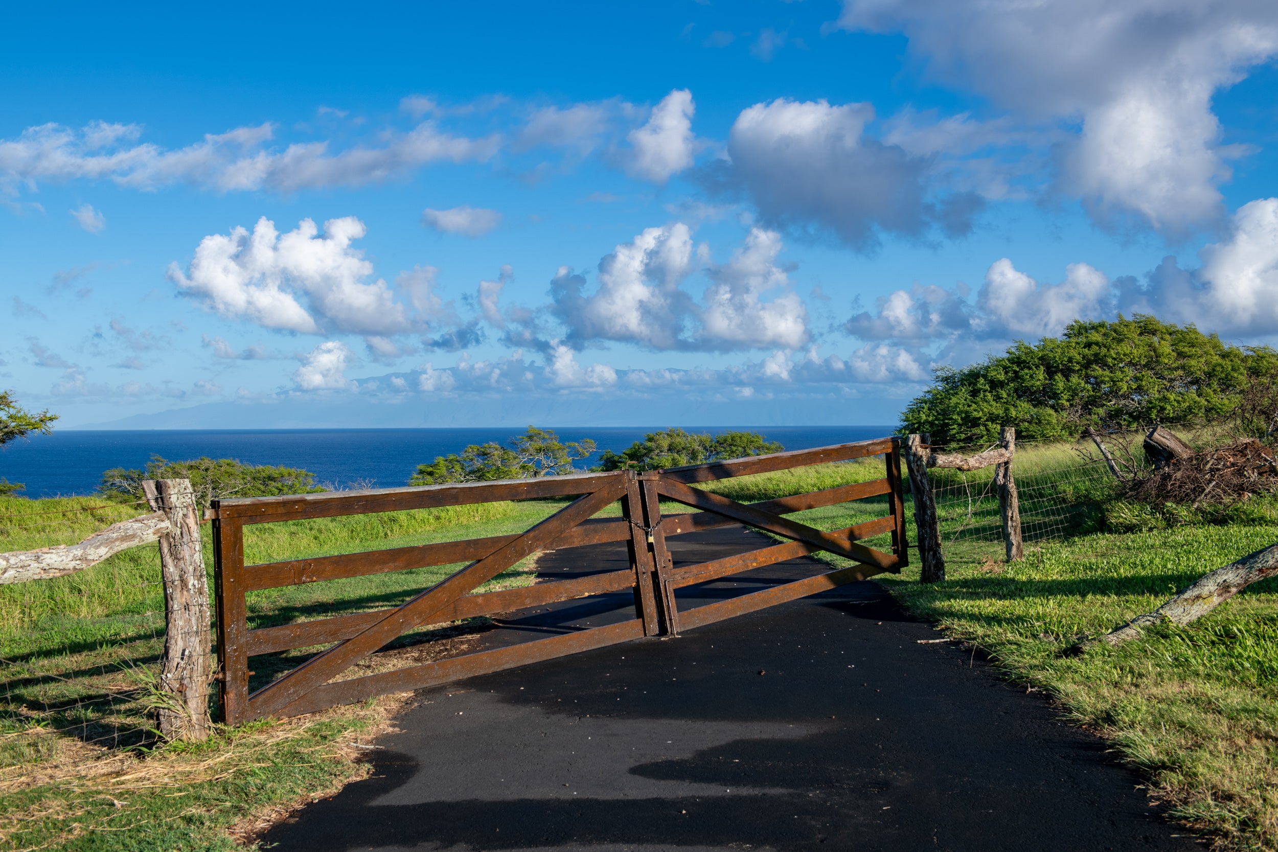 56-99 PUALANI RD