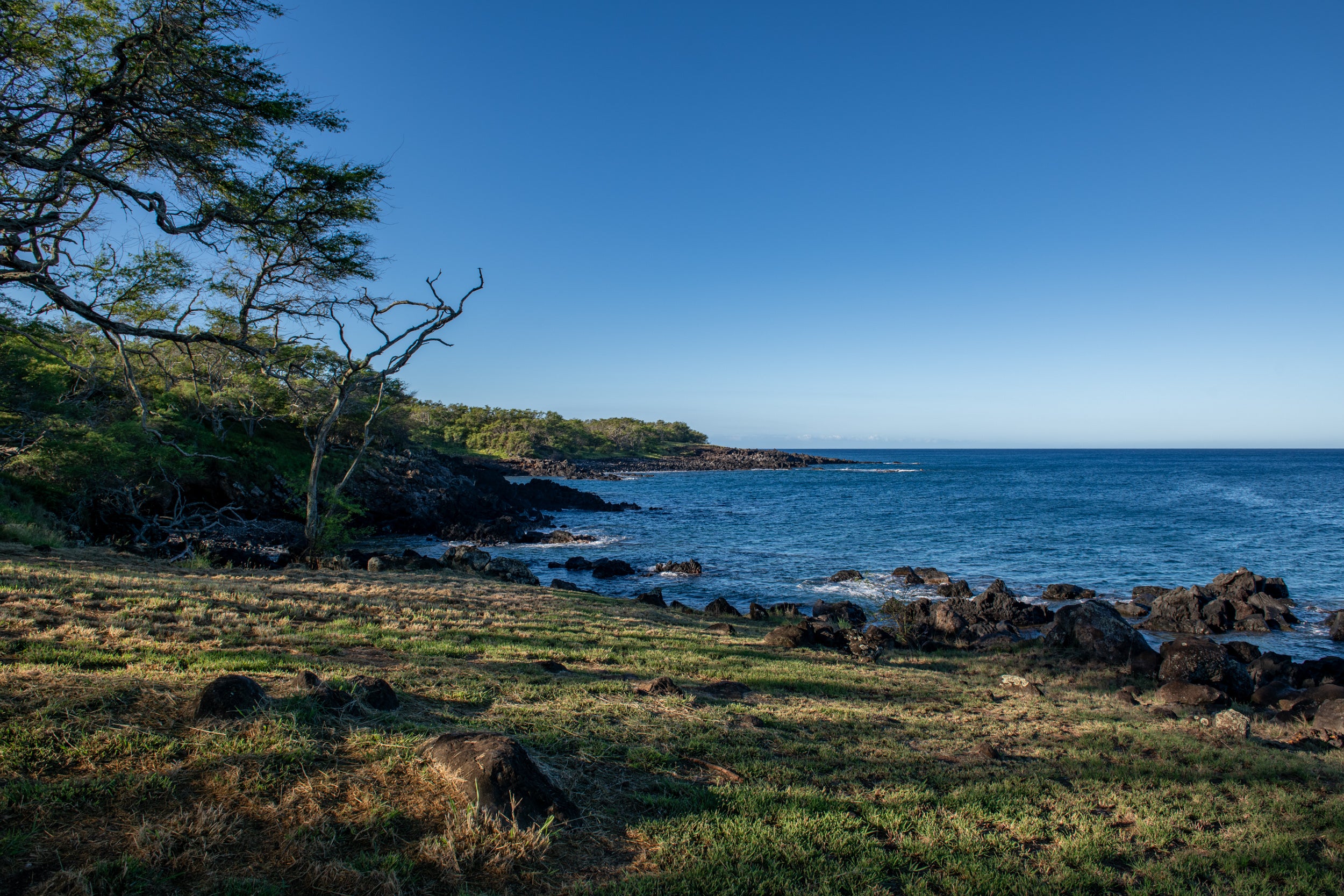 56-99 PUALANI RD