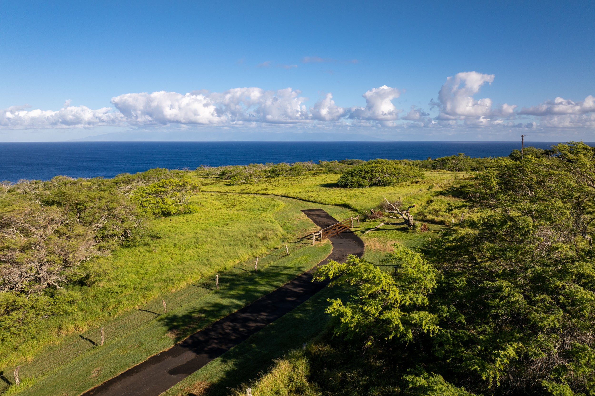 56-99 PUALANI RD