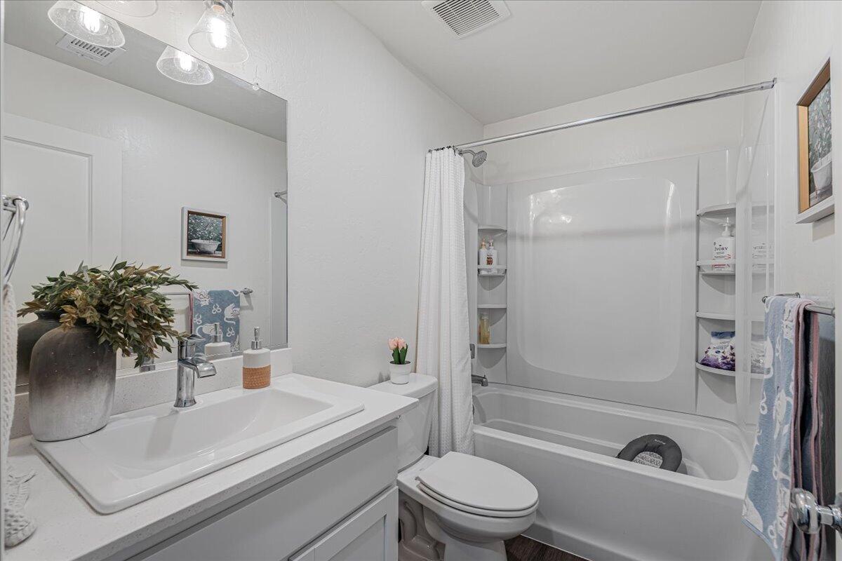 2428 Wolf Creek Place