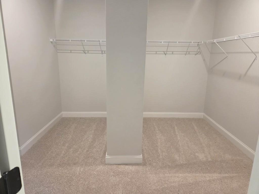 3245 Lions Ruby Lane