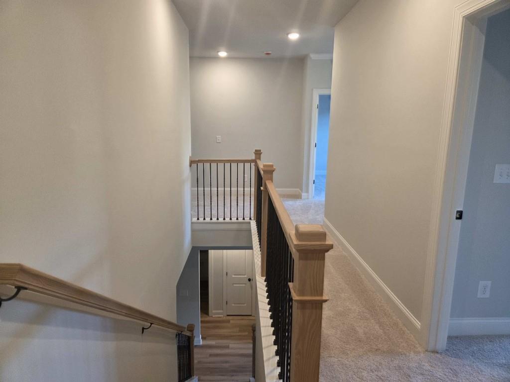 3245 Lions Ruby Lane