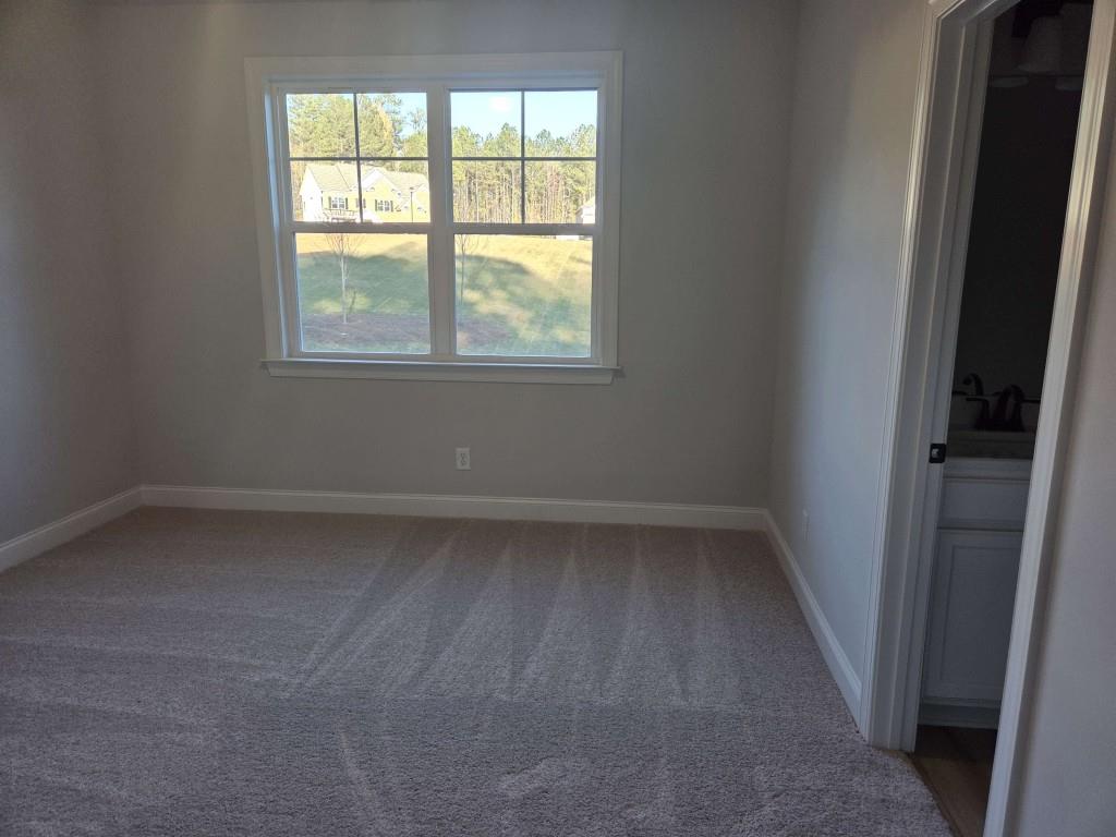 3245 Lions Ruby Lane