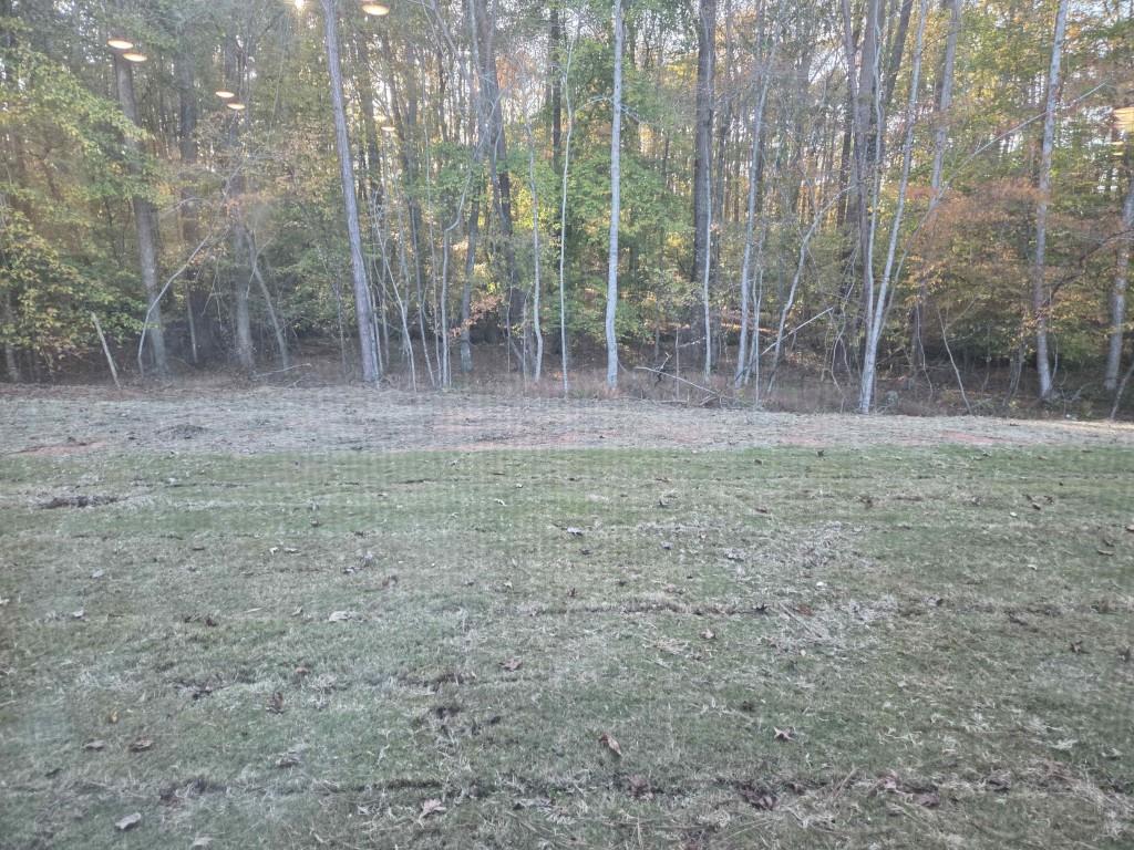 3245 Lions Ruby Lane