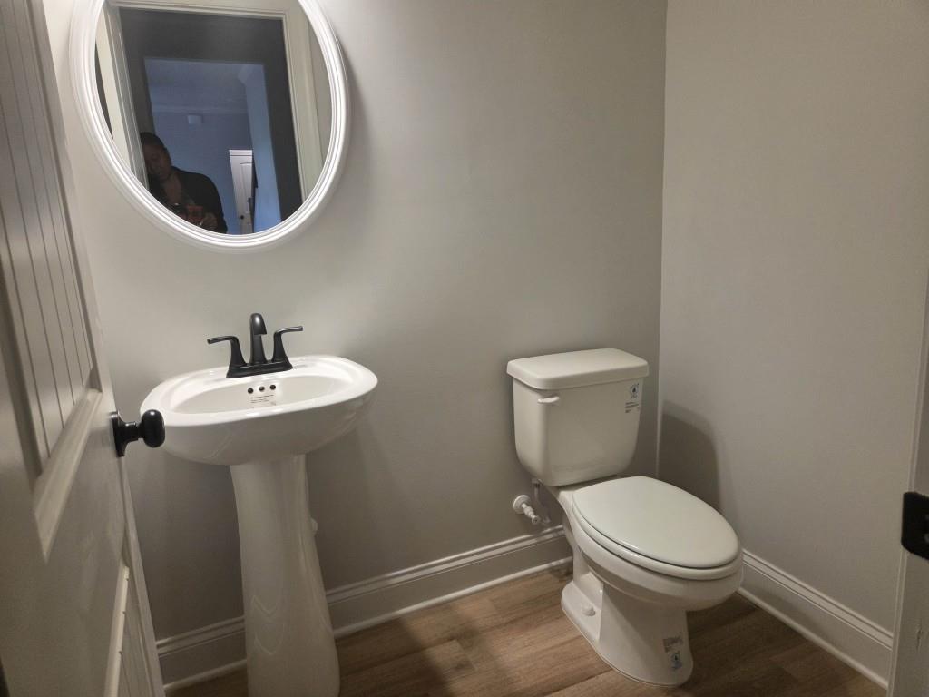 3245 Lions Ruby Lane