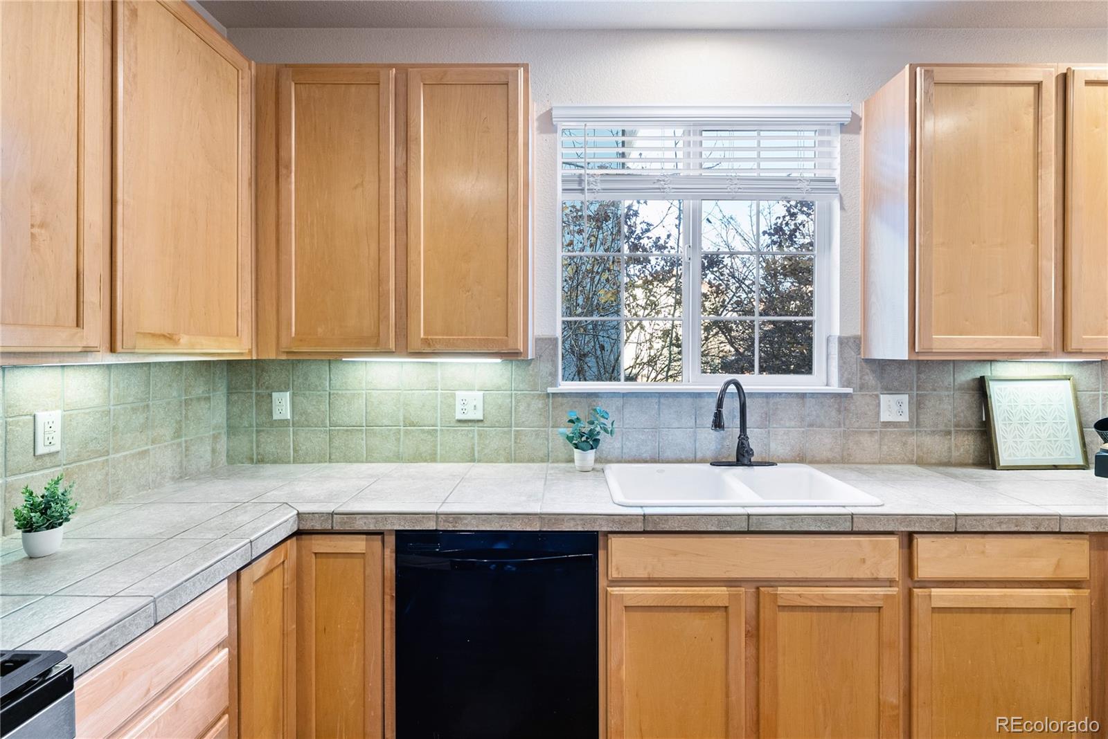 3686 Glacier Rim Trail Unit: E