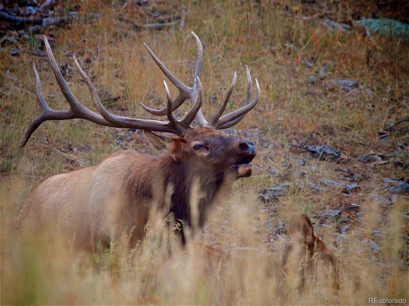 1269 Pomegranate Lane