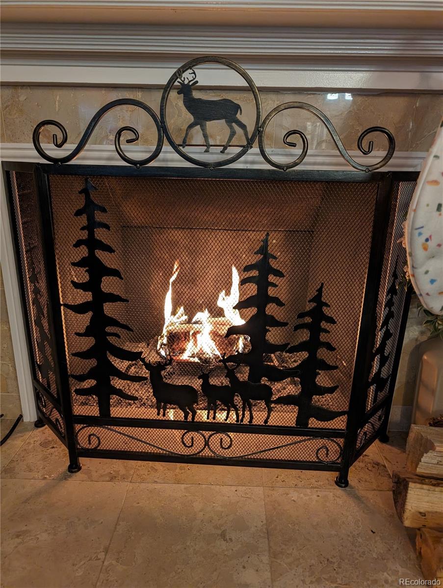 1313 N Williams Street Unit: 1602