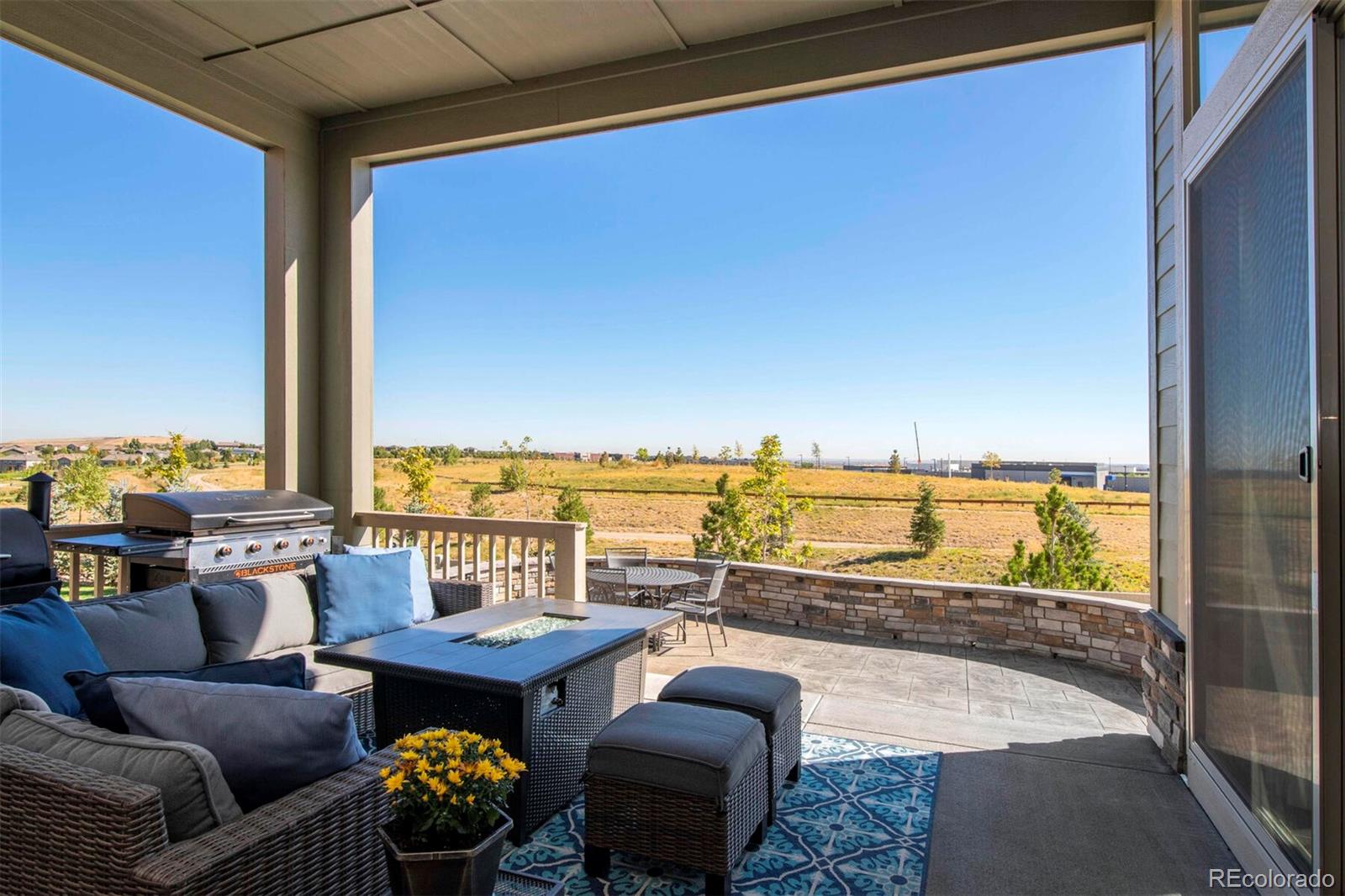 16096 Swan Mountain Drive