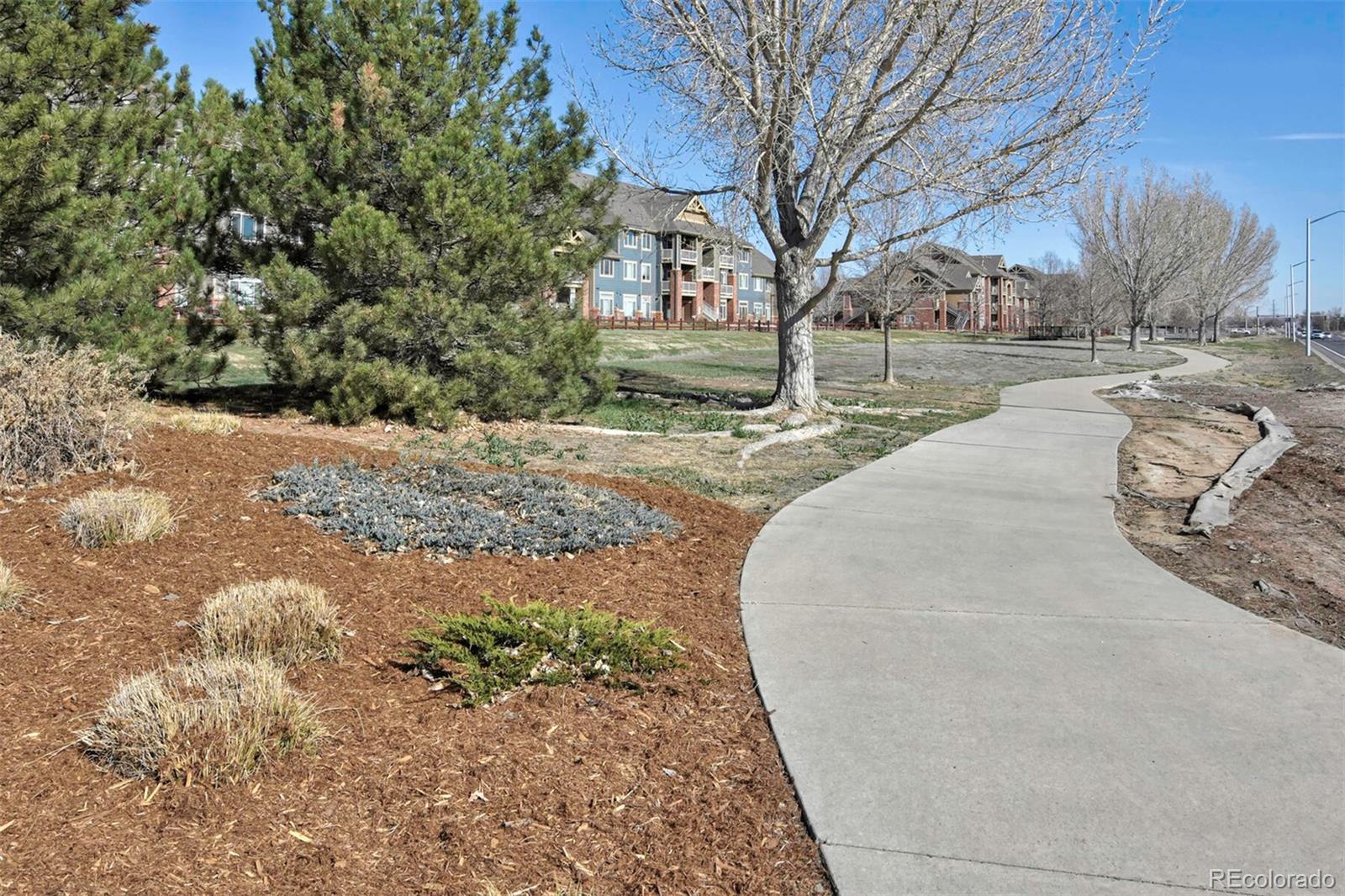 804 Summer Hawk Drive Unit: 6201