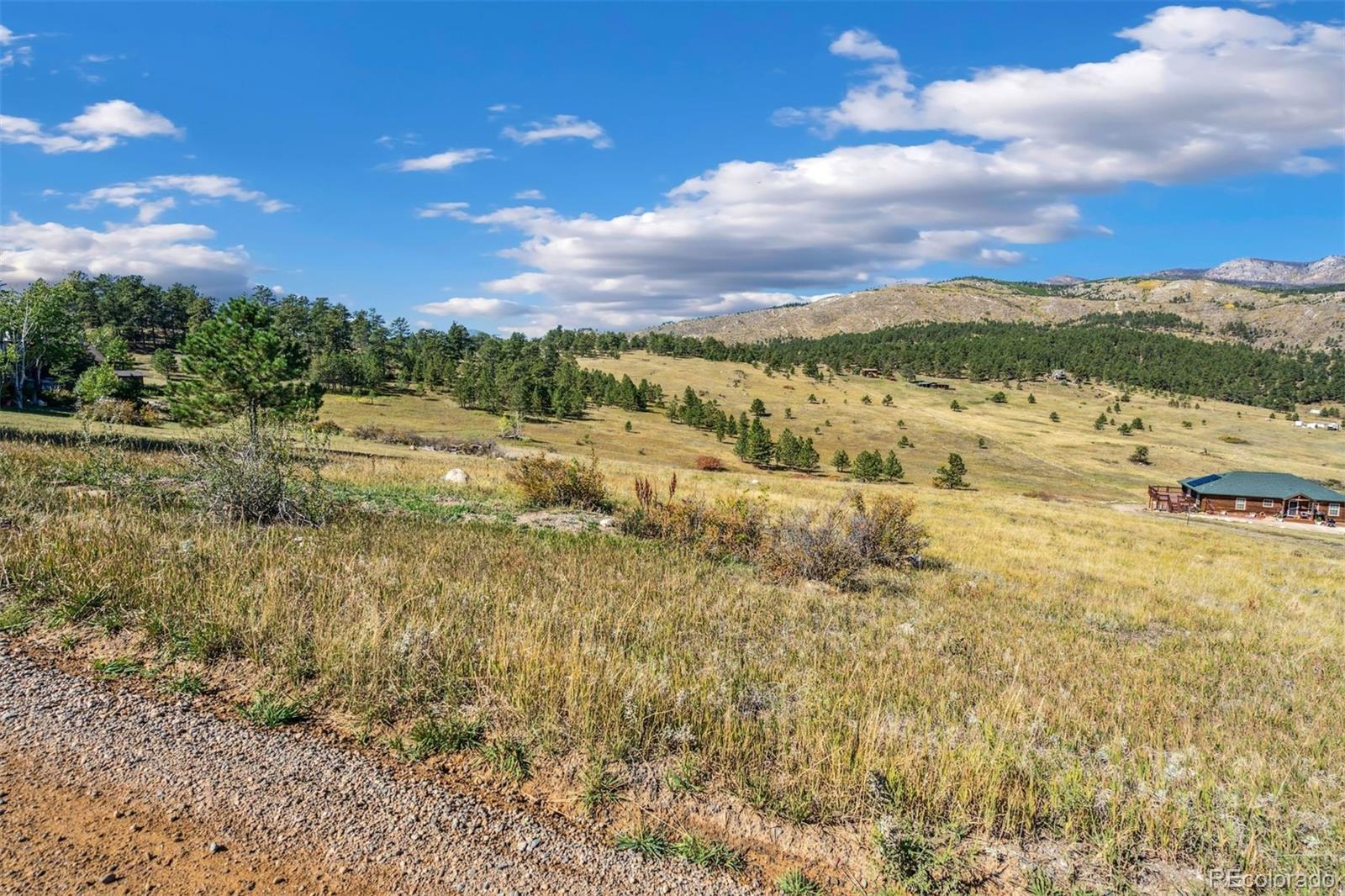 491 Snow Top Drive