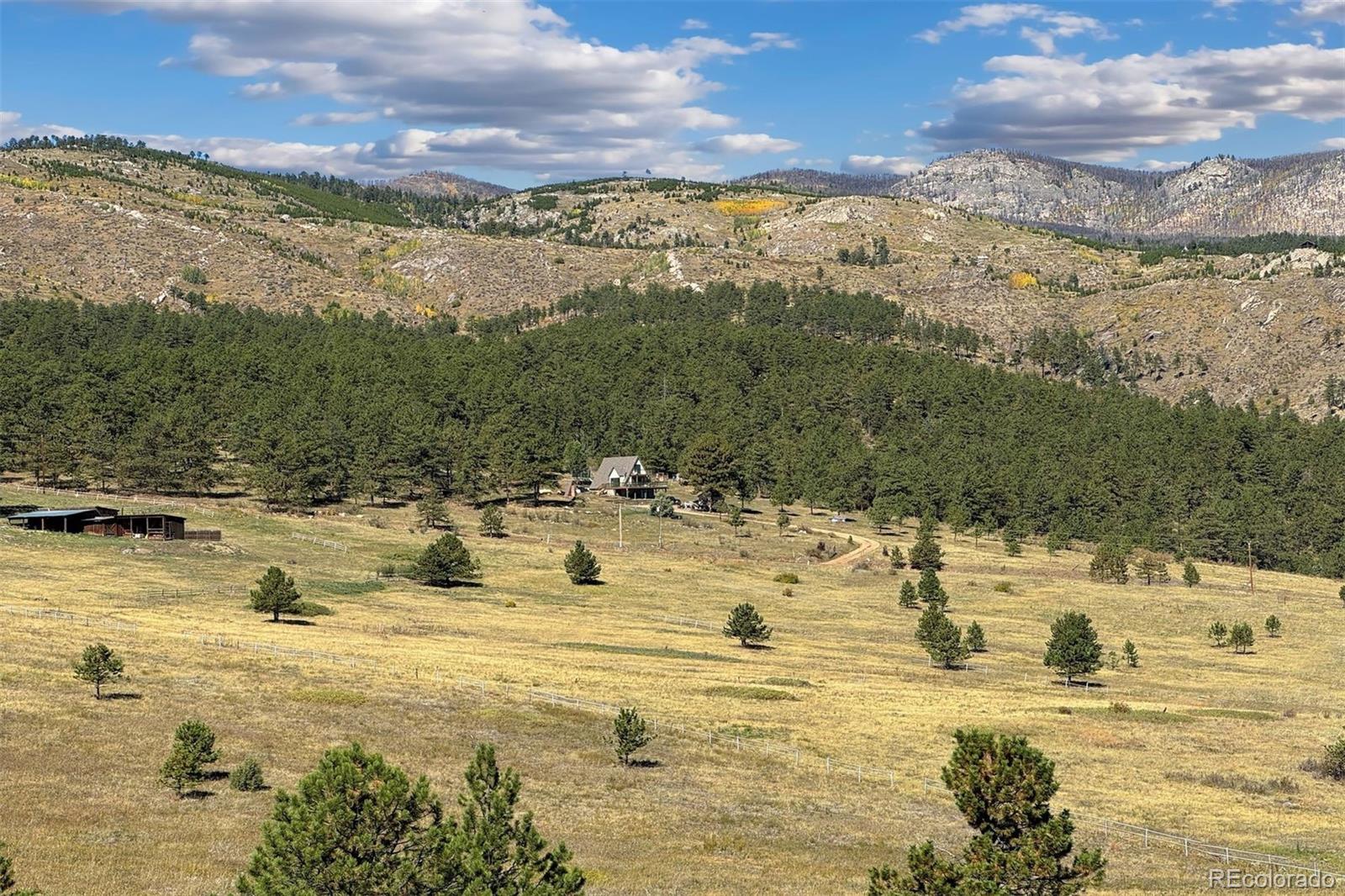 491 Snow Top Drive