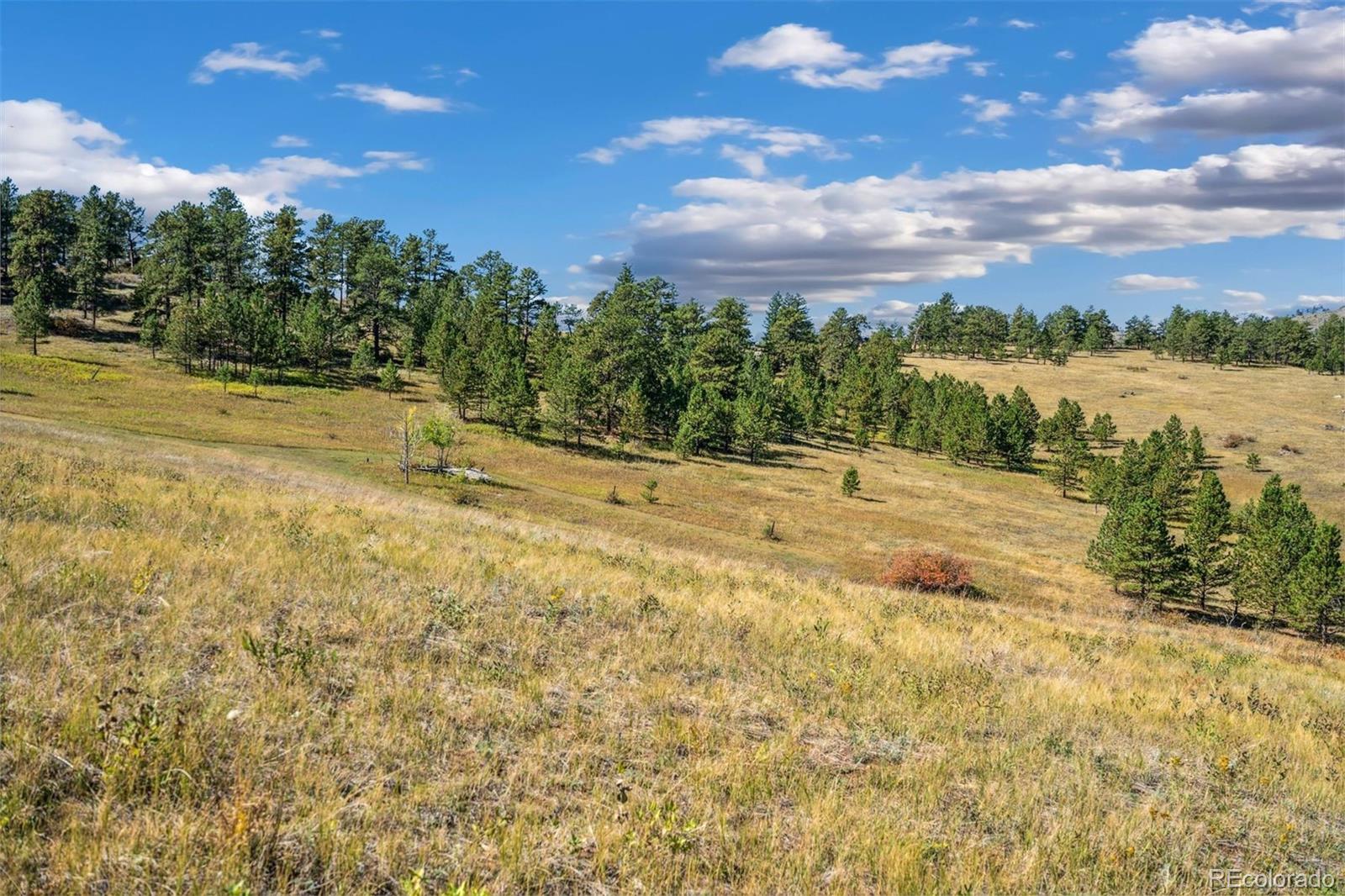 491 Snow Top Drive