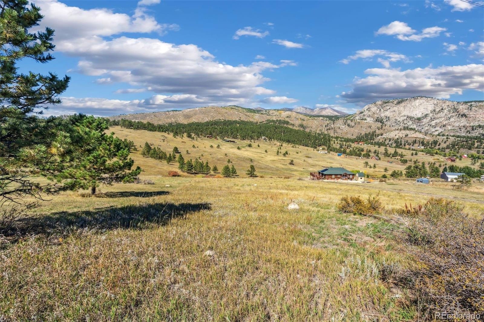 491 Snow Top Drive