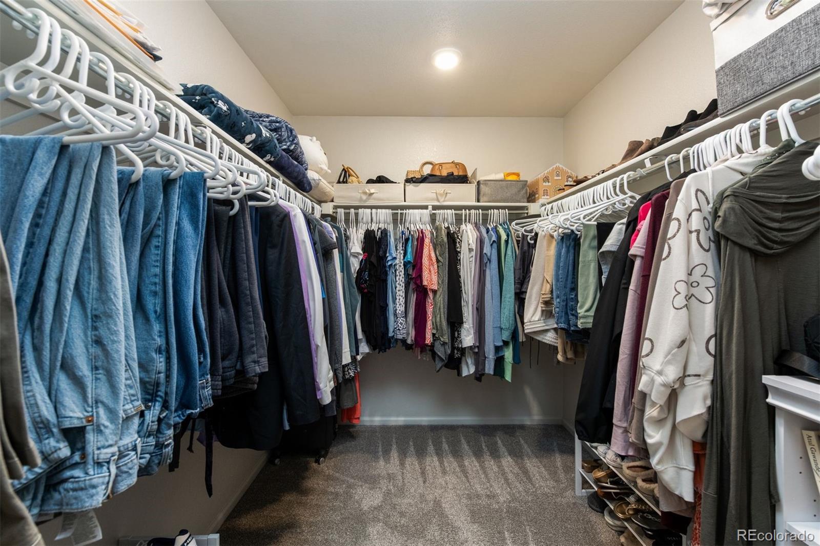 1659 Bellflower Drive