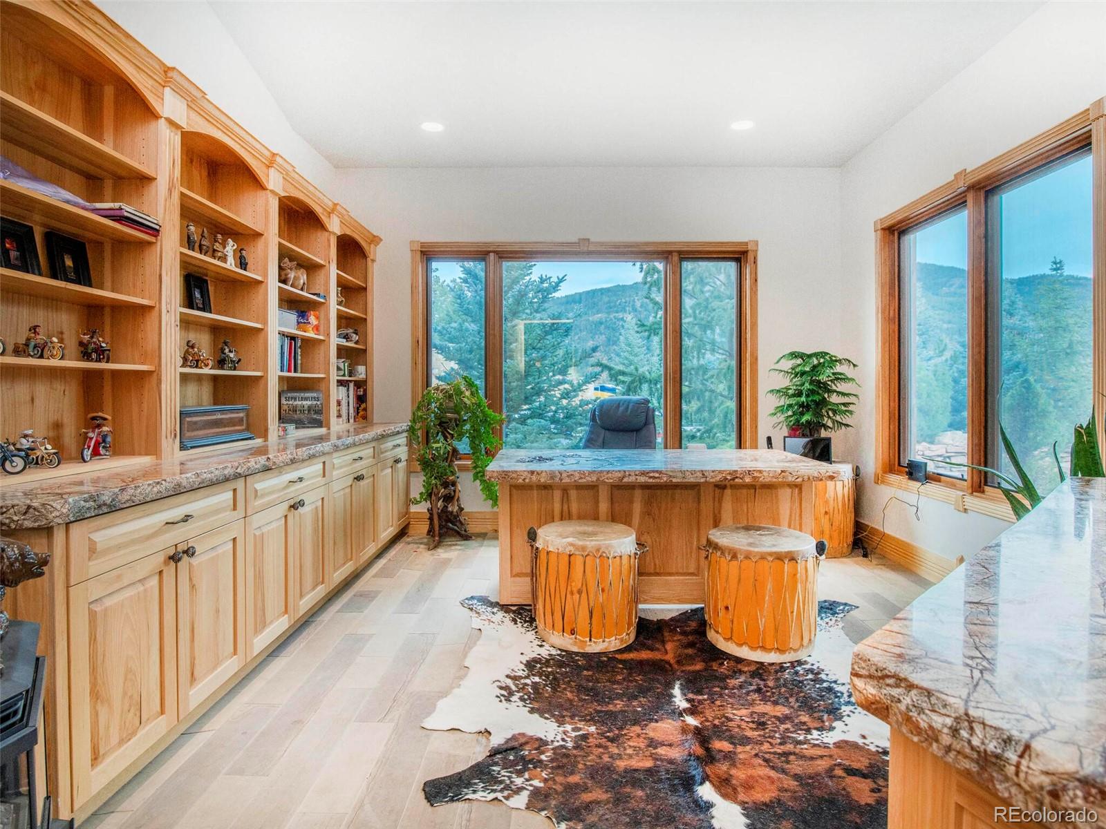 577 Bear Meadow Trail