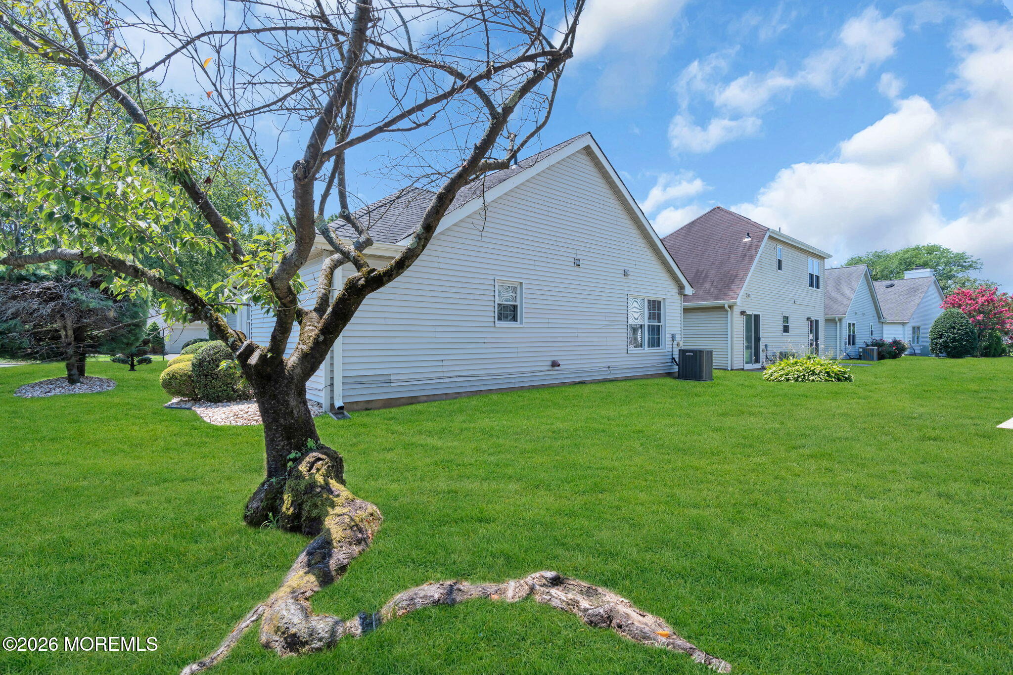 7 Petunia Place