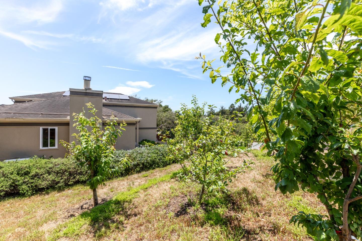 14892 Blue Oak Place