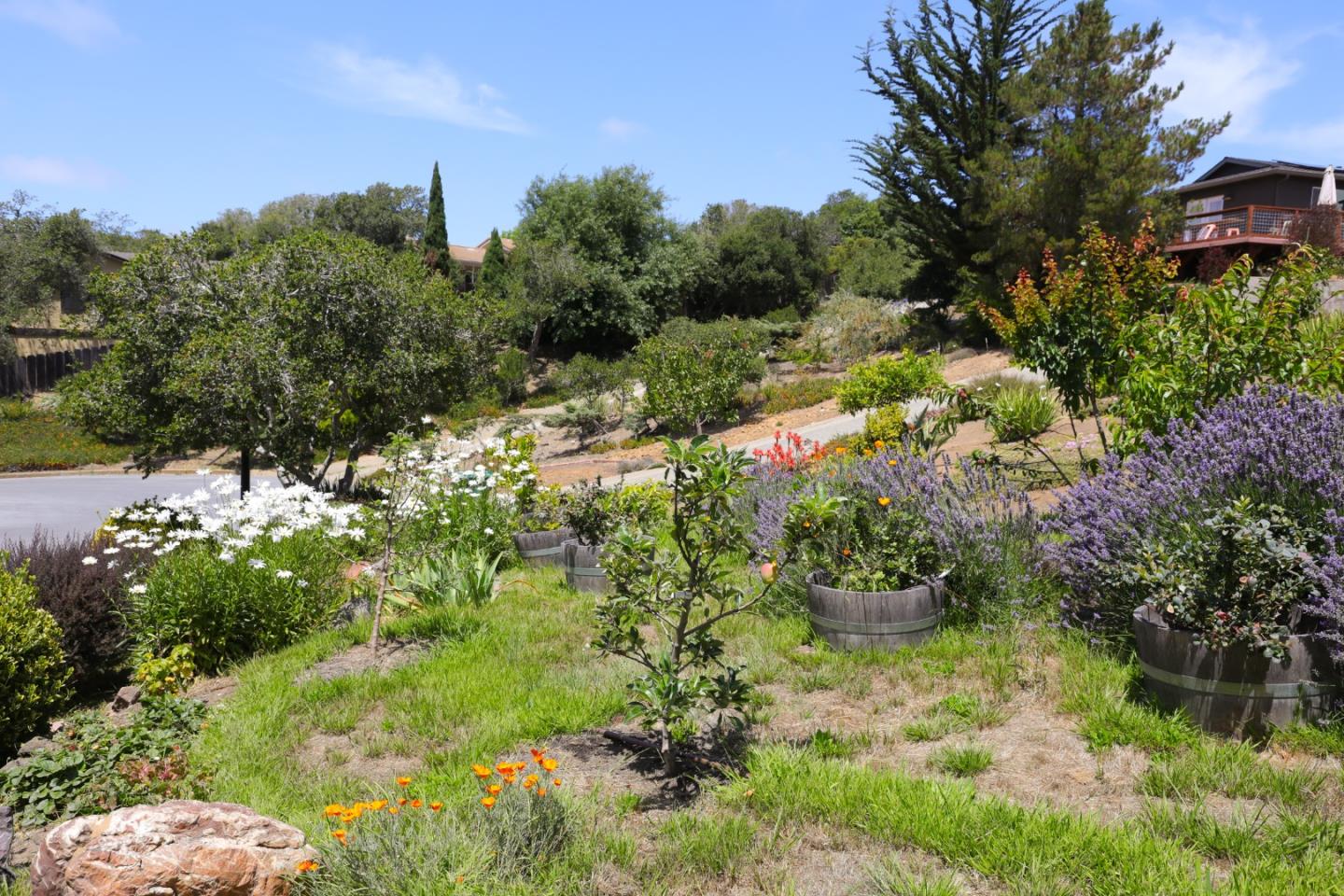 14892 Blue Oak Place