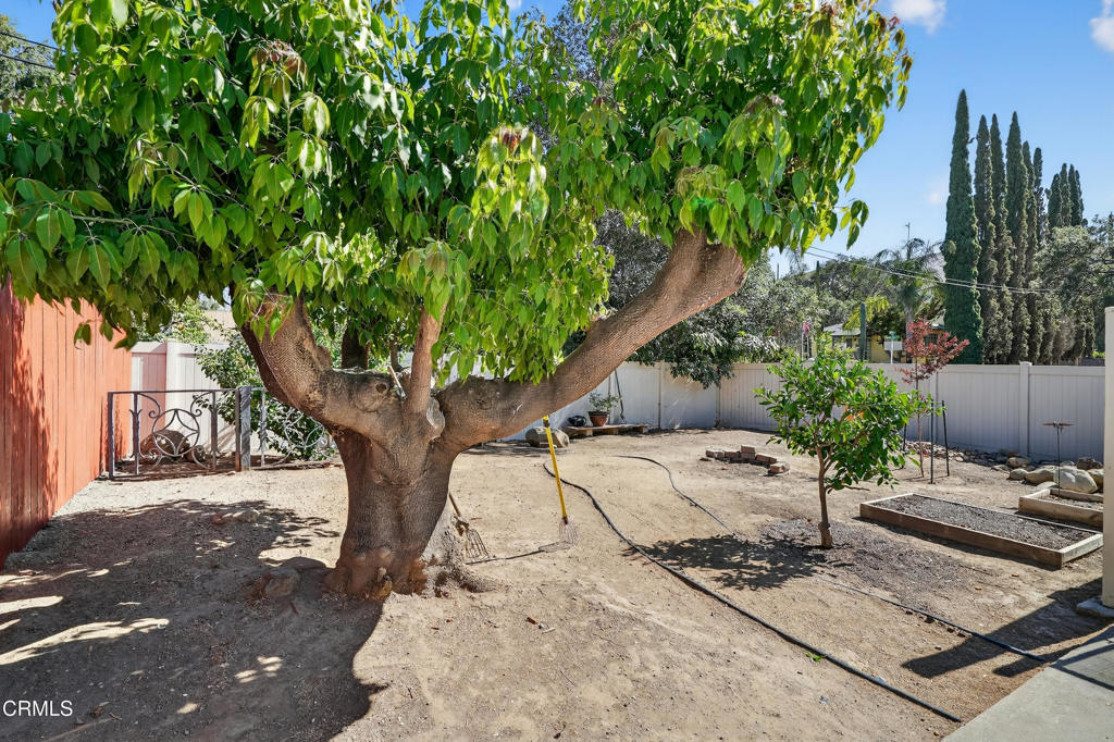 1200 Forest Drive