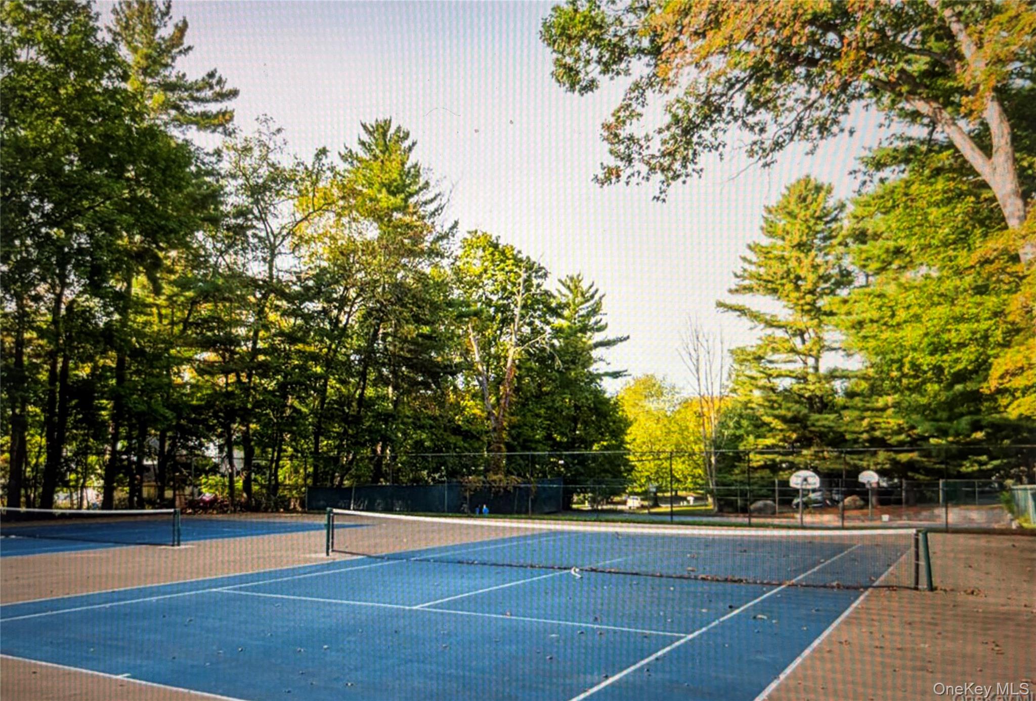 7 Essex Lane Unit: B3