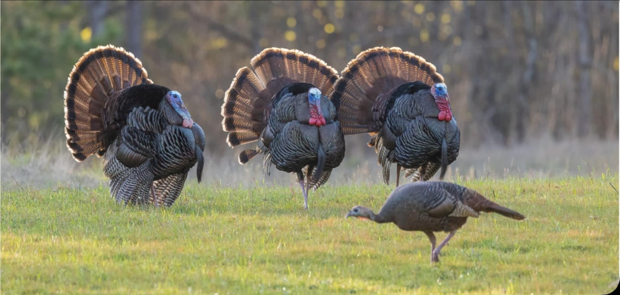 5491 Creekwood Court SE