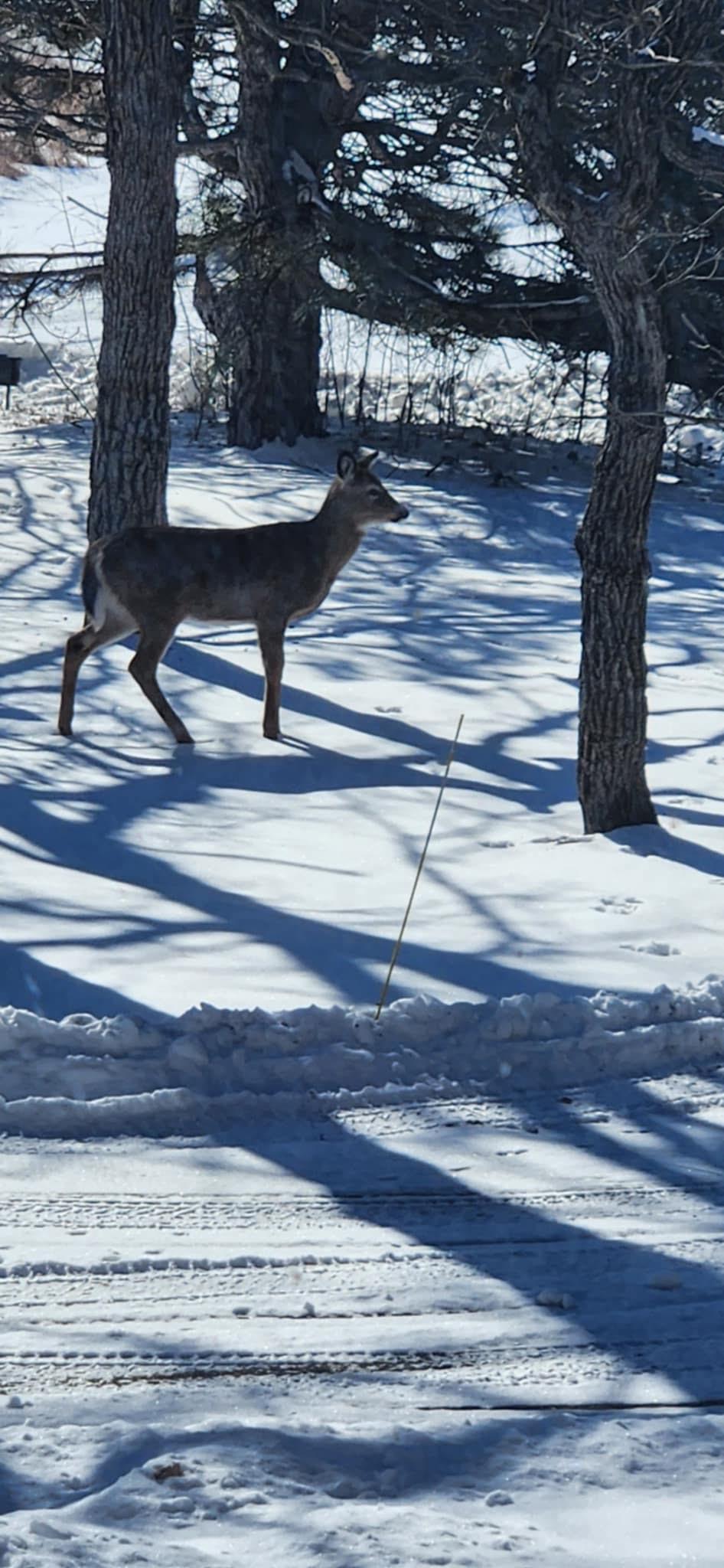 5491 Creekwood Court SE