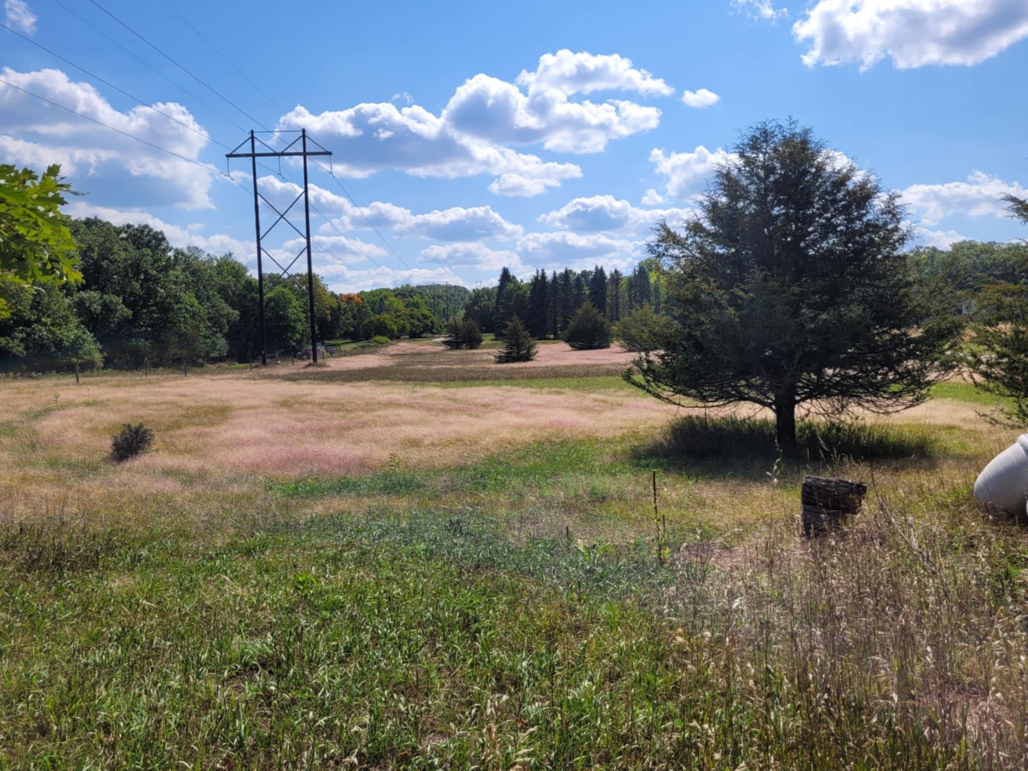 5491 Creekwood Court SE