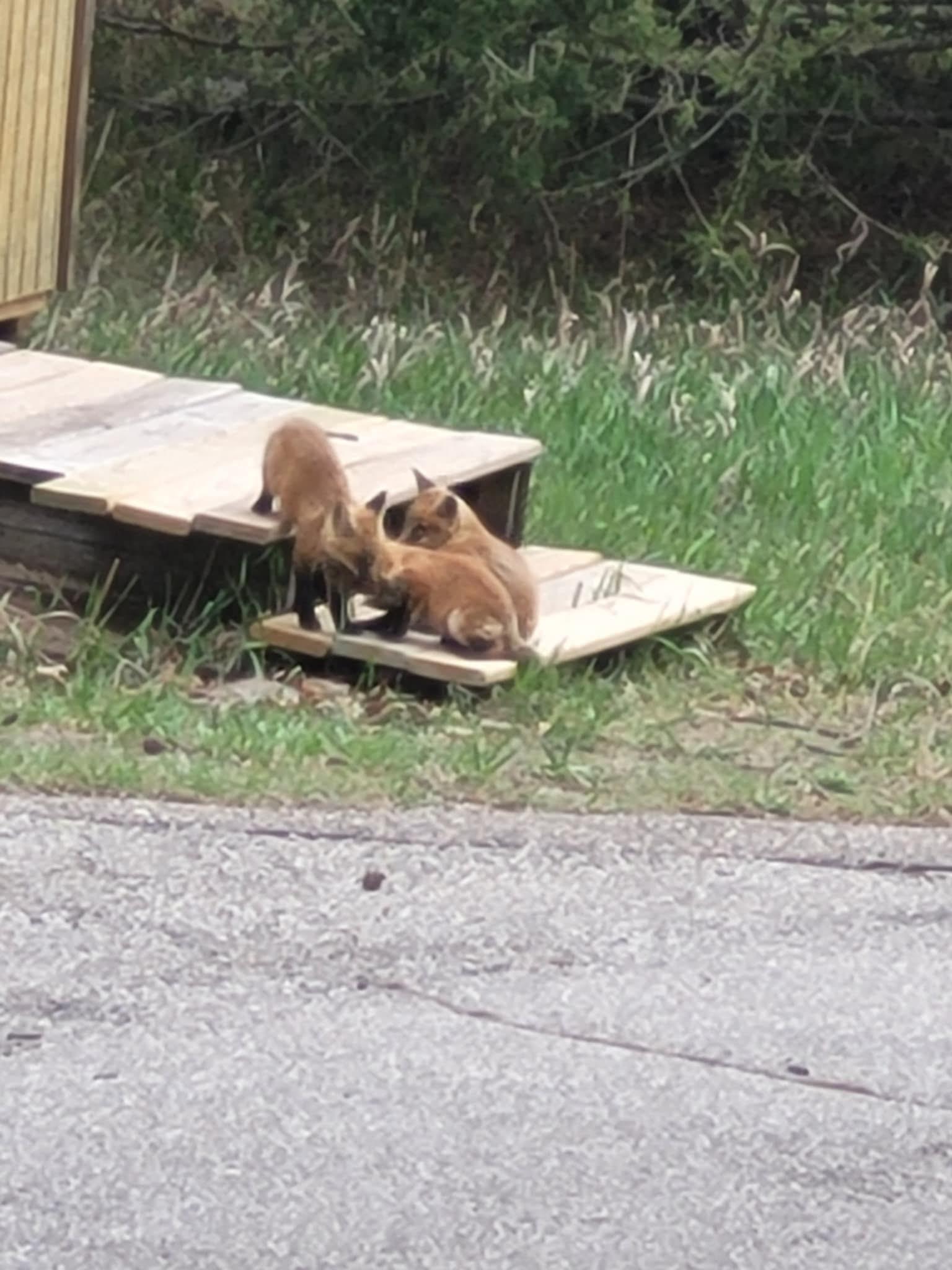 5491 Creekwood Court SE