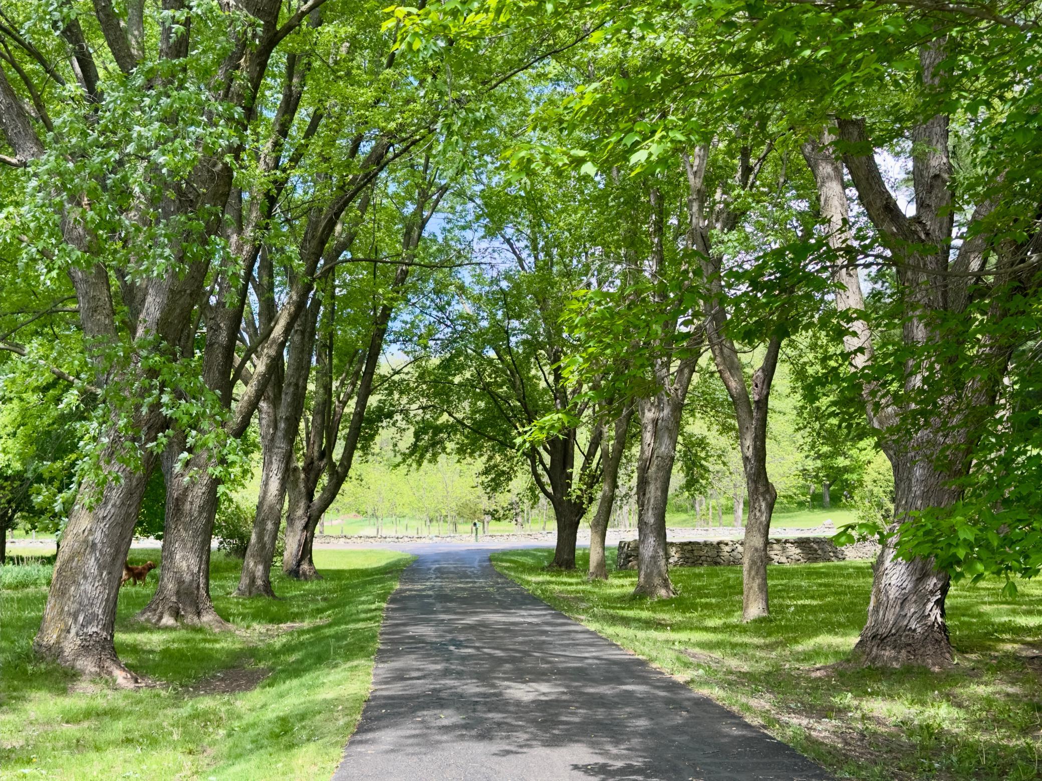 5510 Heather Drive SW