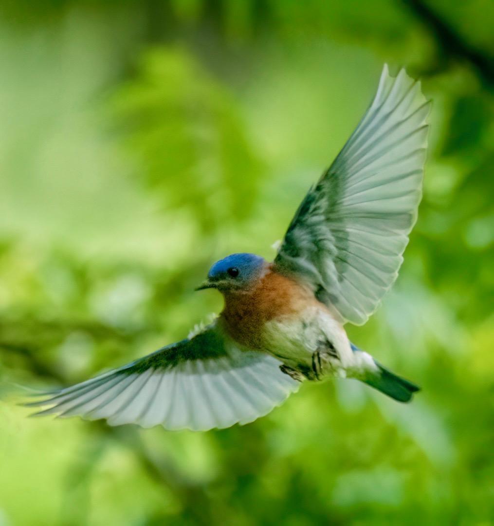 5510 Heather Drive SW