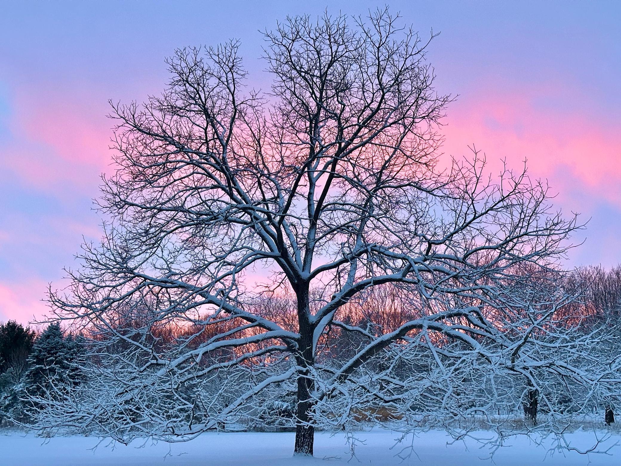 5510 Heather Drive SW