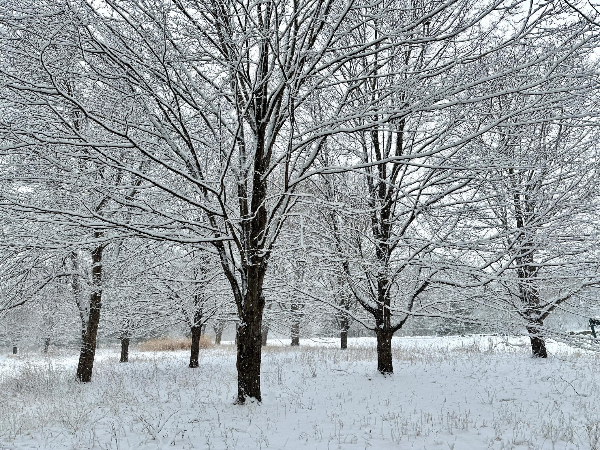 5510 Heather Drive SW