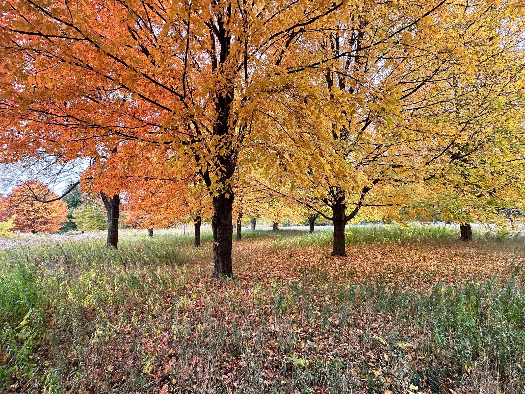 5510 Heather Drive SW