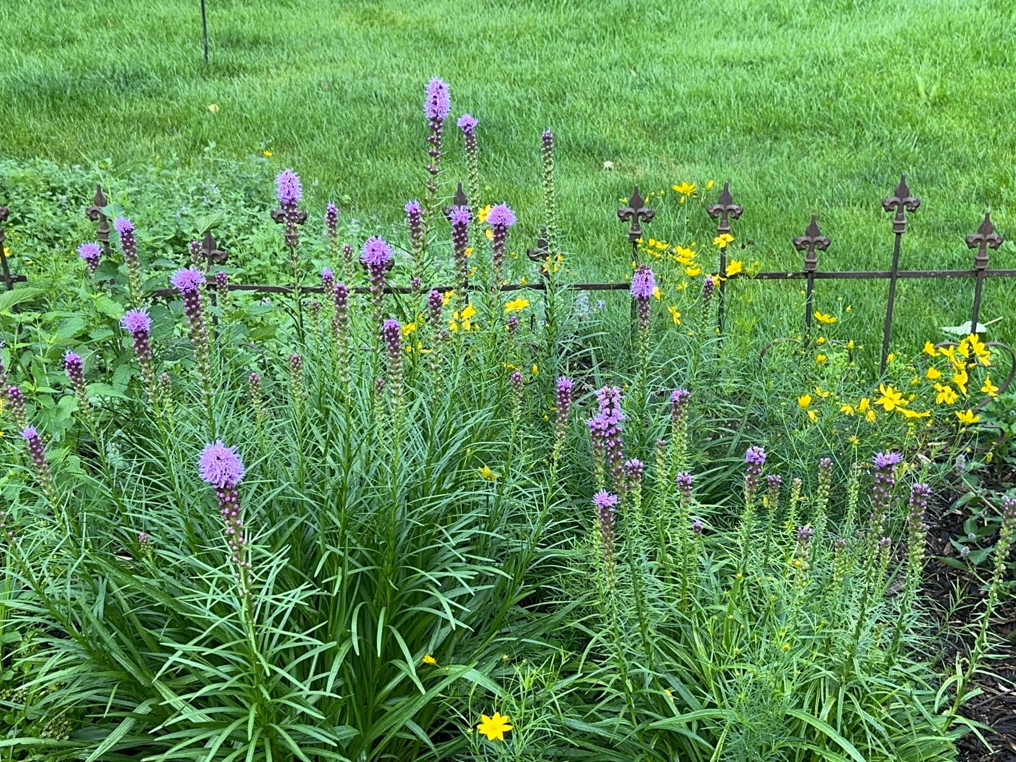 5510 Heather Drive SW