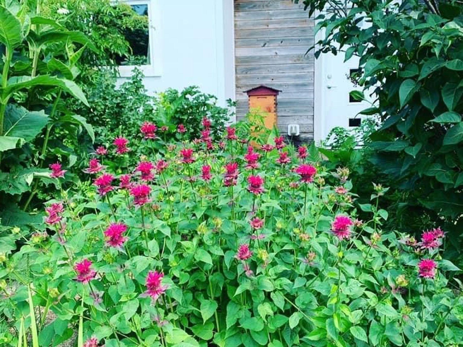 2734 Galena Place SW