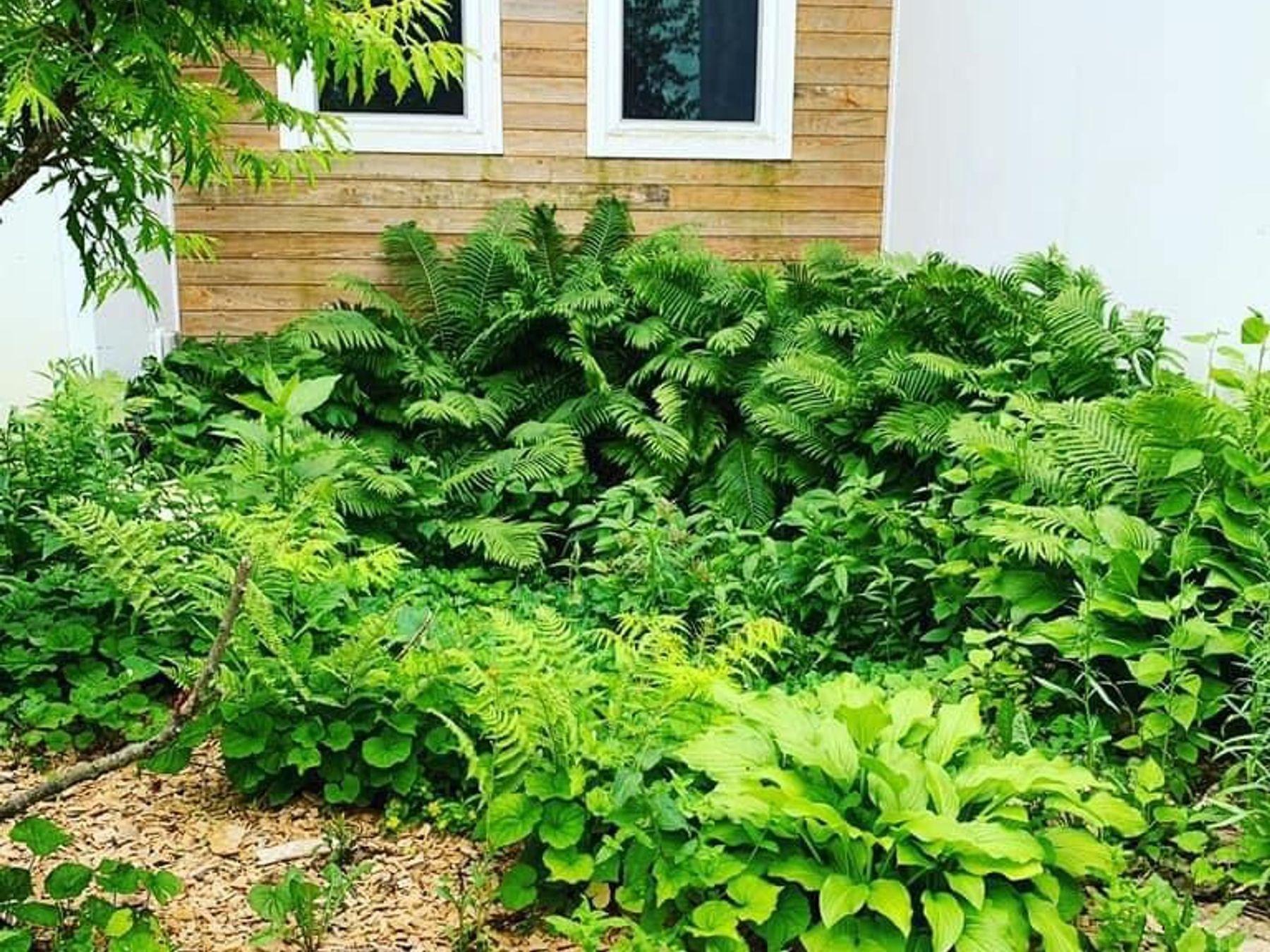 2734 Galena Place SW