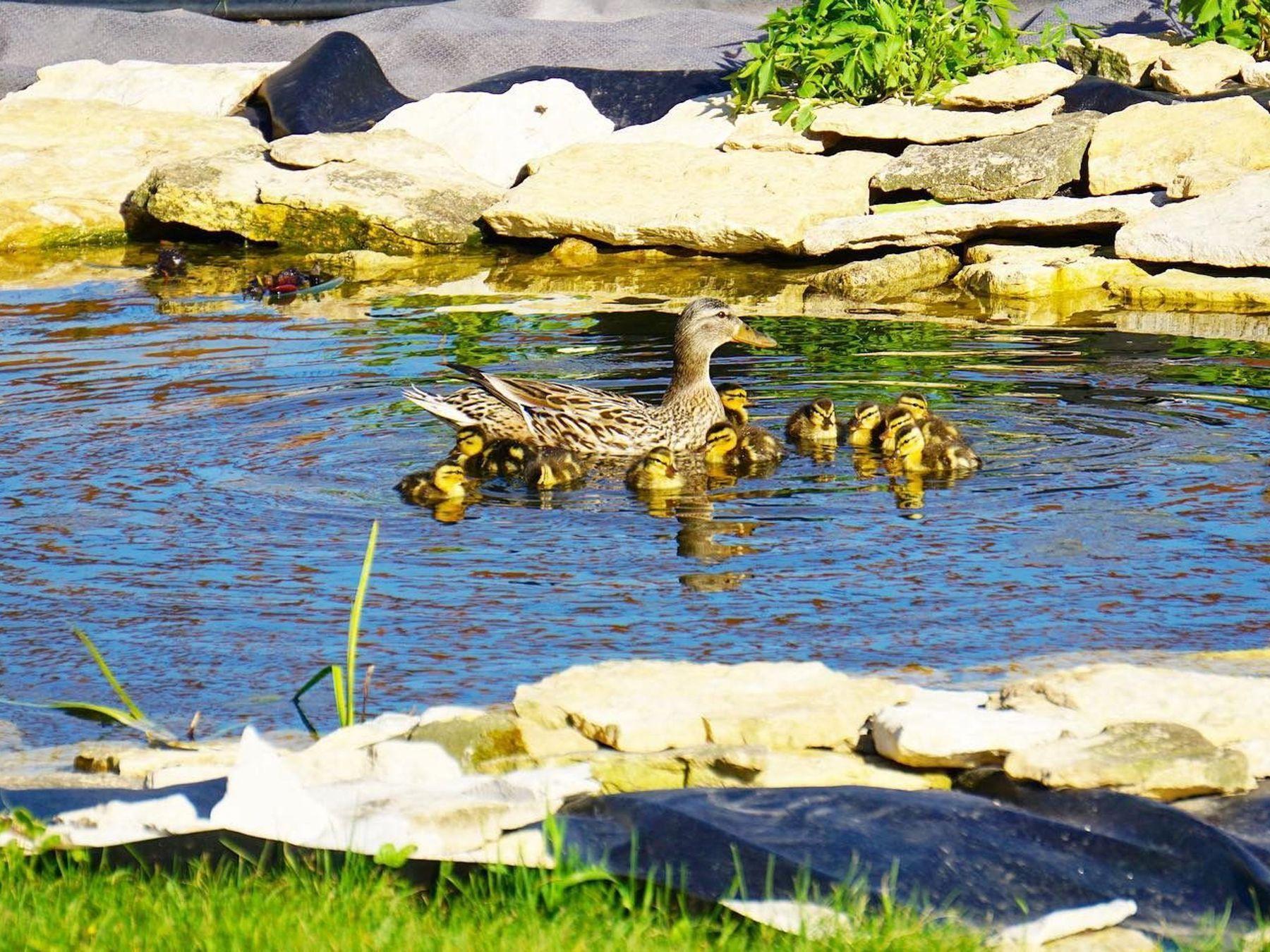 2734 Galena Place SW