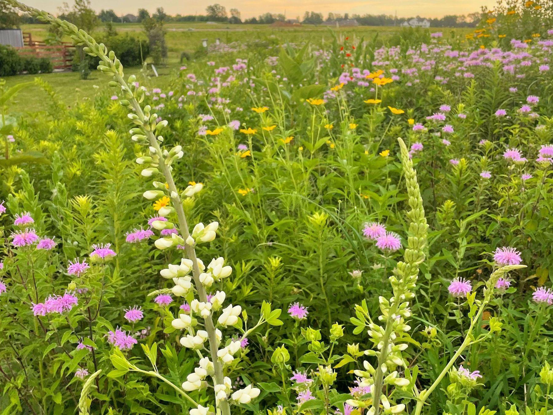 2734 Galena Place SW