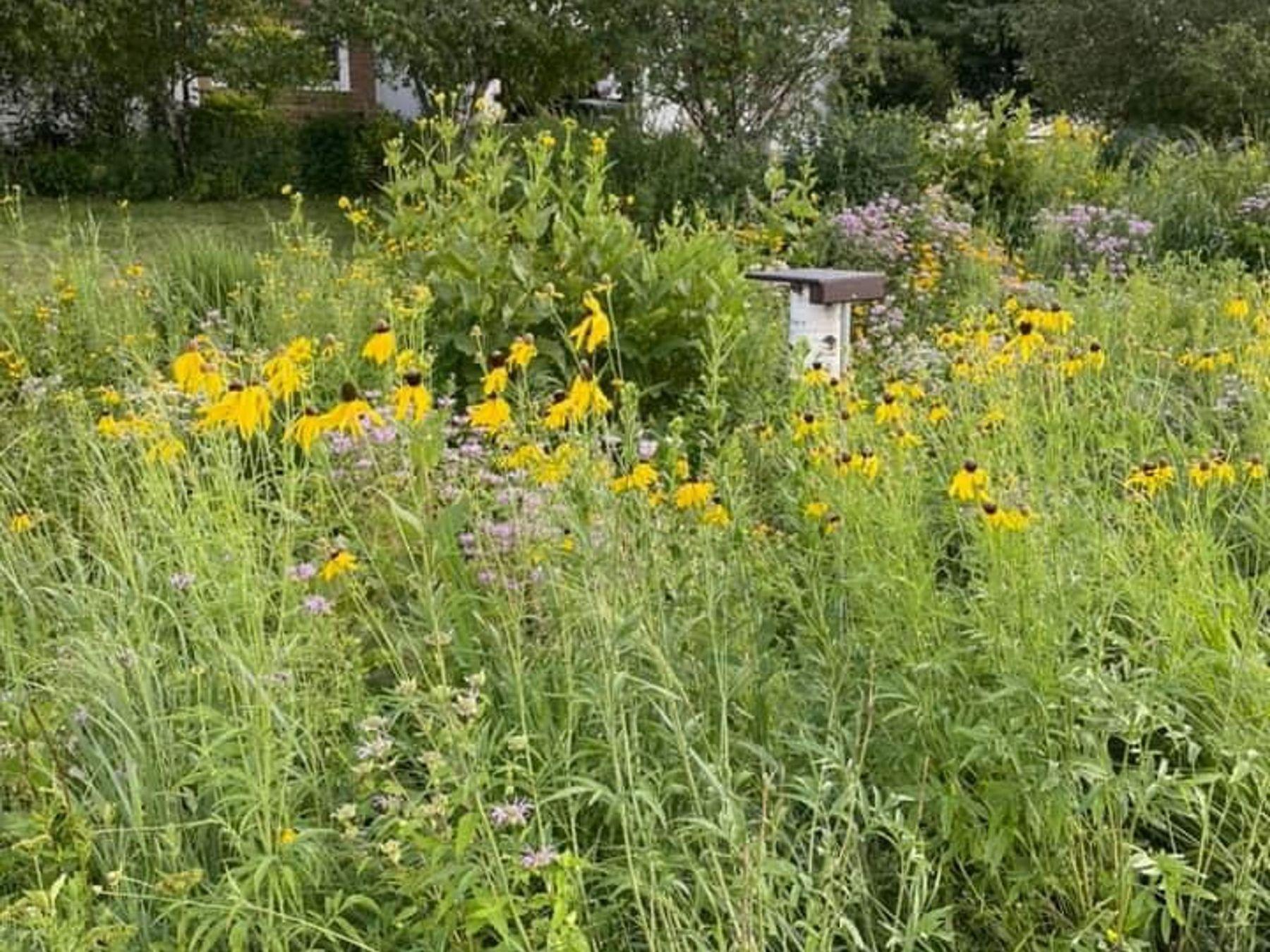 2734 Galena Place SW