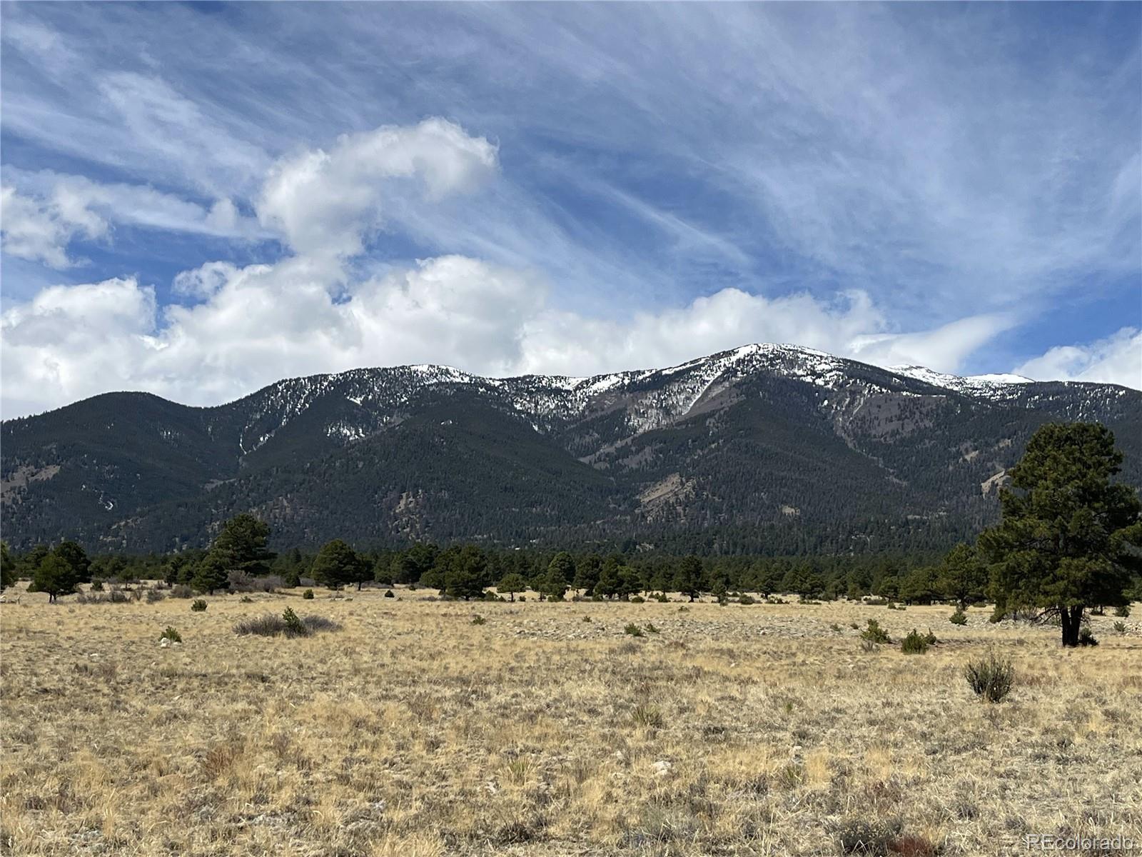 tbd County Road 365