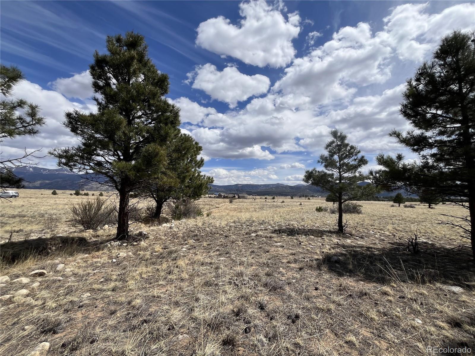 tbd County Road 365