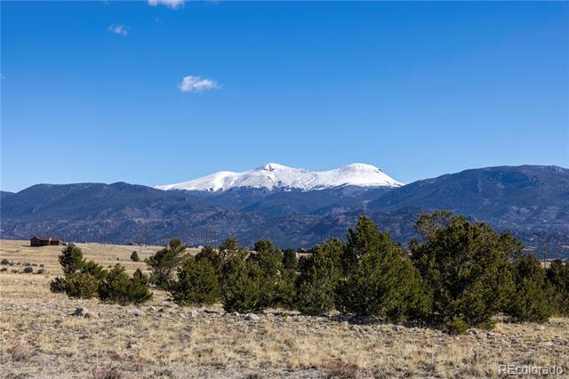 tbd County Road 365