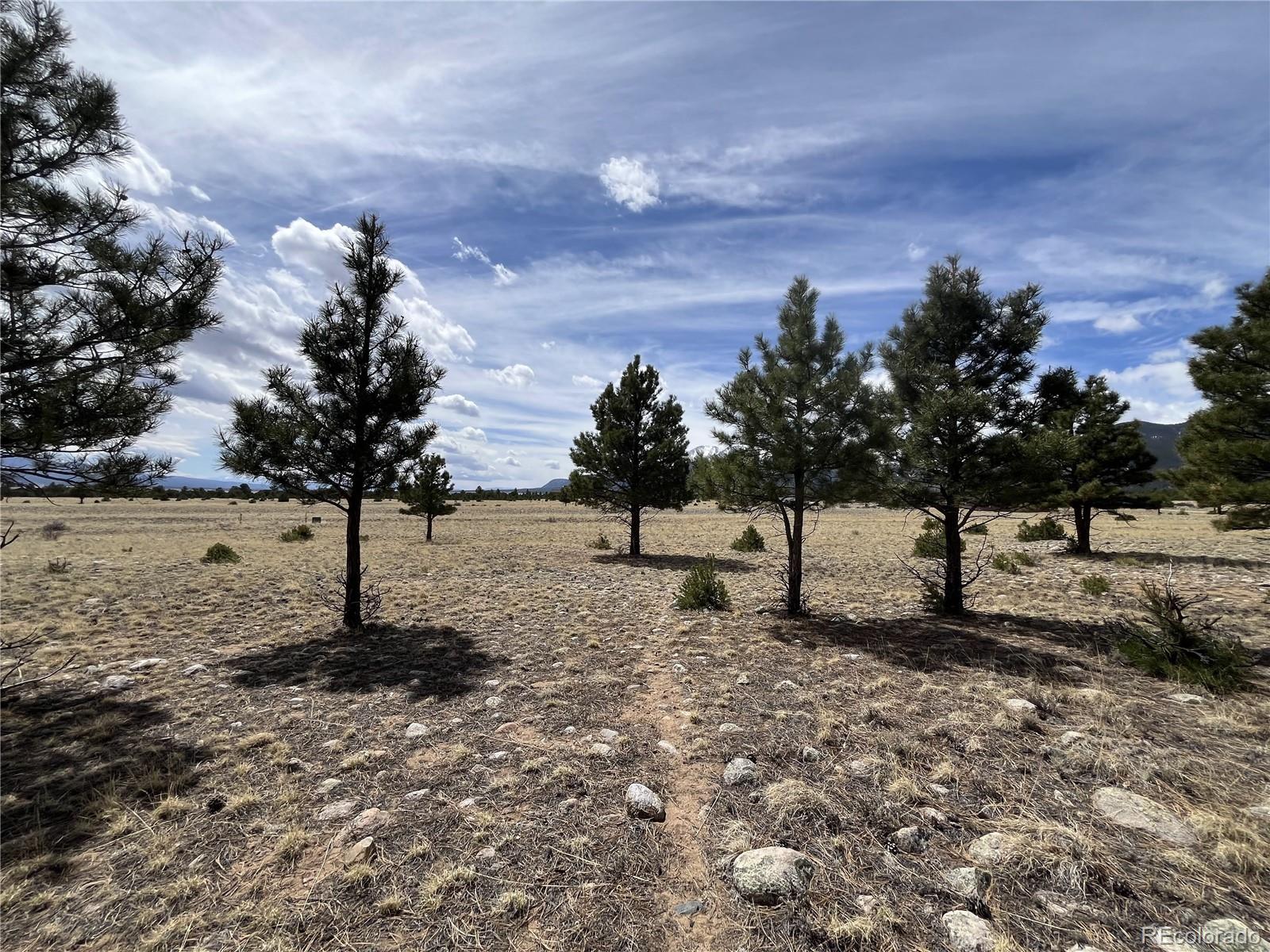 tbd County Road 365