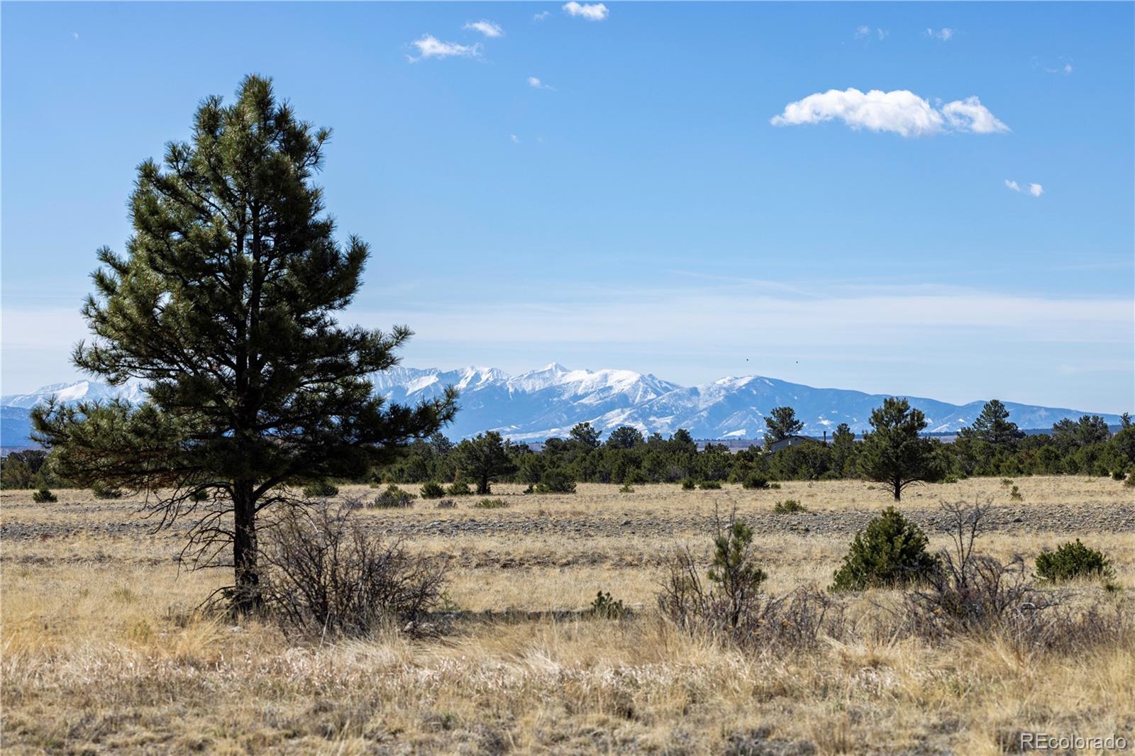 tbd County Road 365